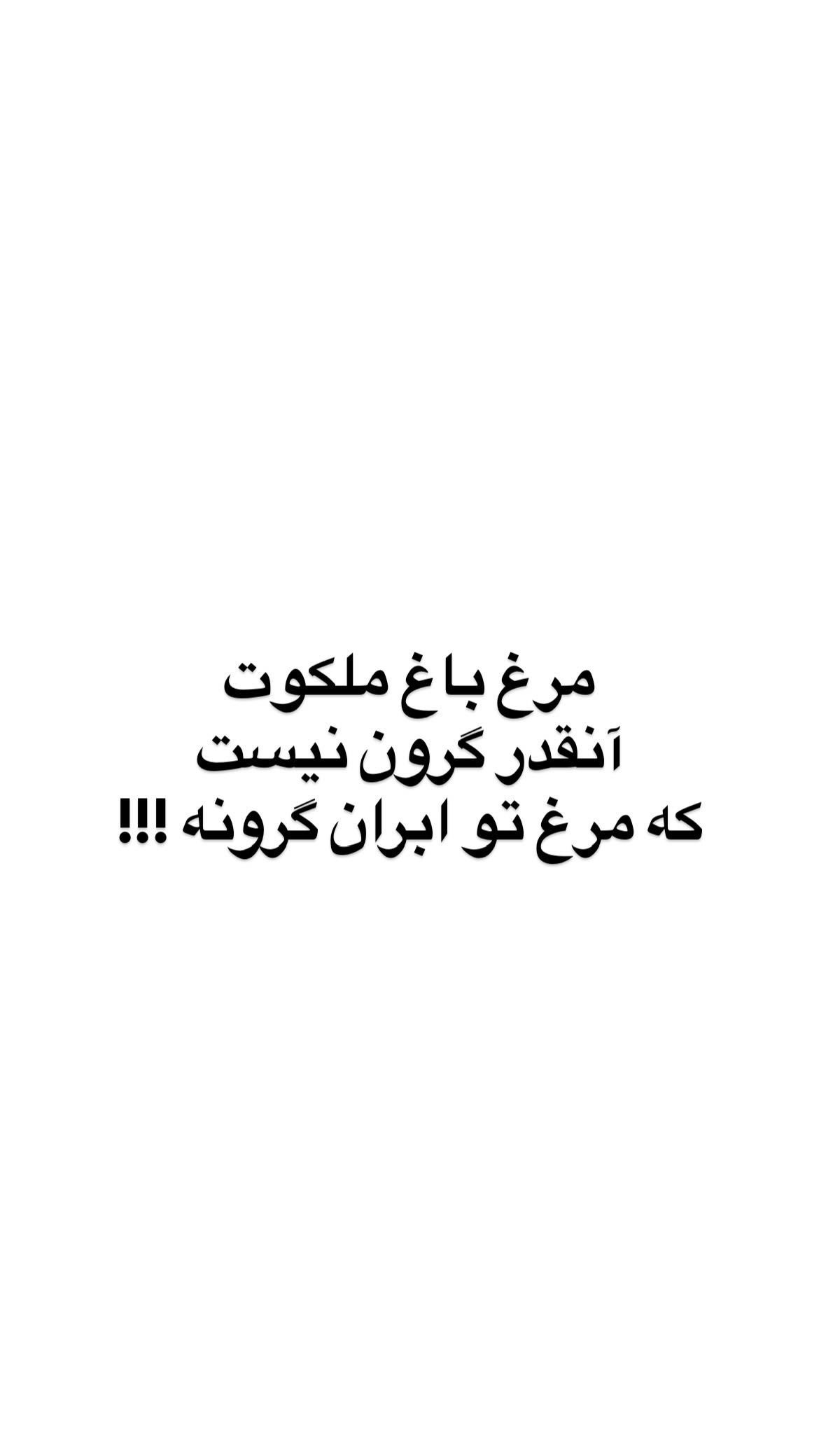  جدید ترین استوری اینستاگرام وحیدرضا صادق پور