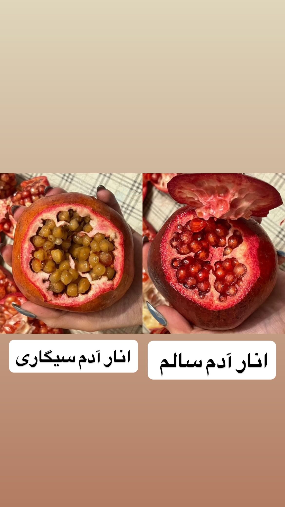  جدید ترین استوری اینستاگرام وحیدرضا صادق پور
