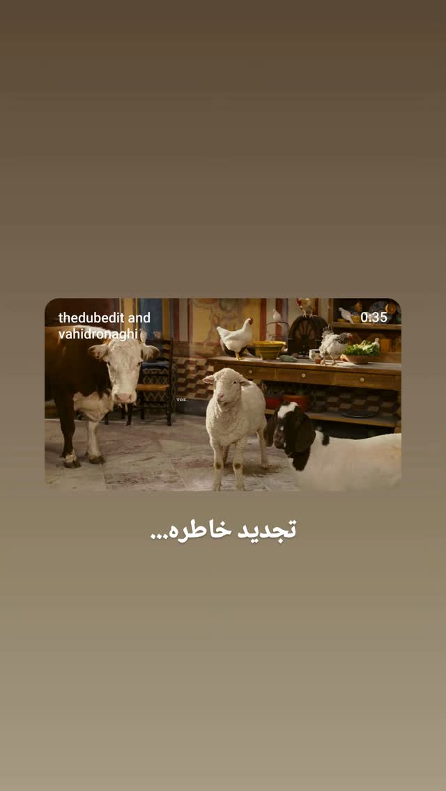  جدید ترین استوری اینستاگرام وحید رونقی