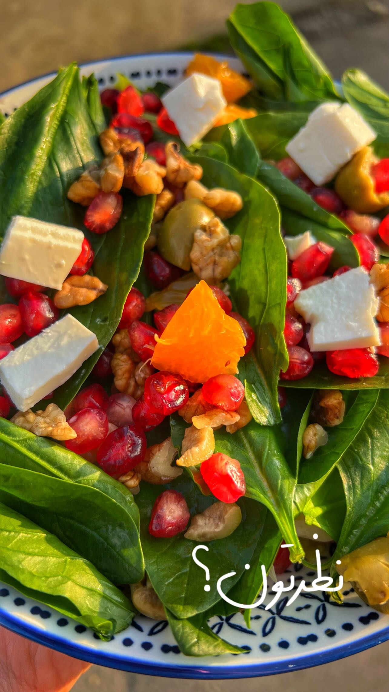  جدید ترین استوری اینستاگرام وگان