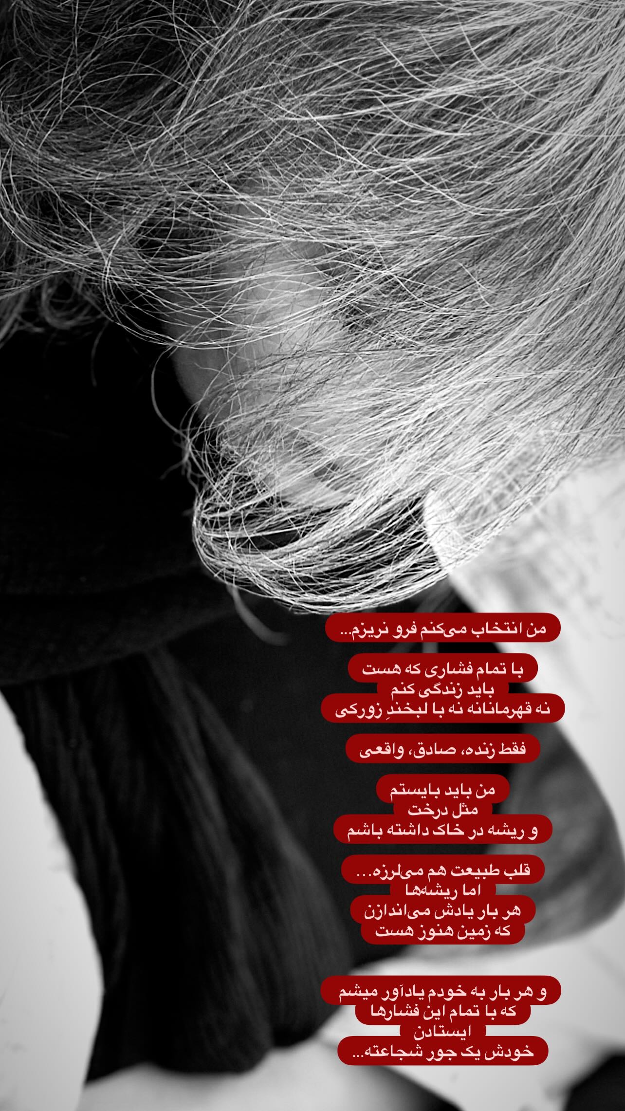  جدید ترین استوری اینستاگرام وگان