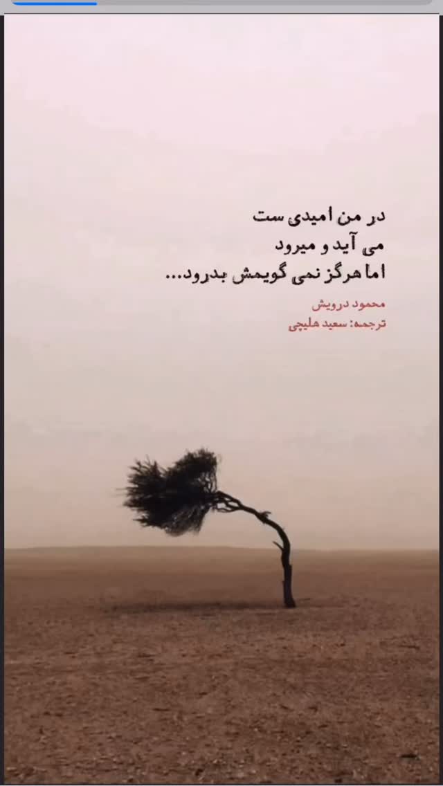  جدید ترین استوری اینستاگرام وگان