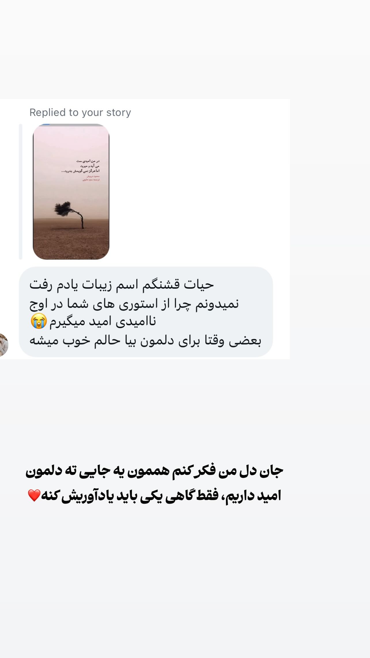  جدید ترین استوری اینستاگرام وگان