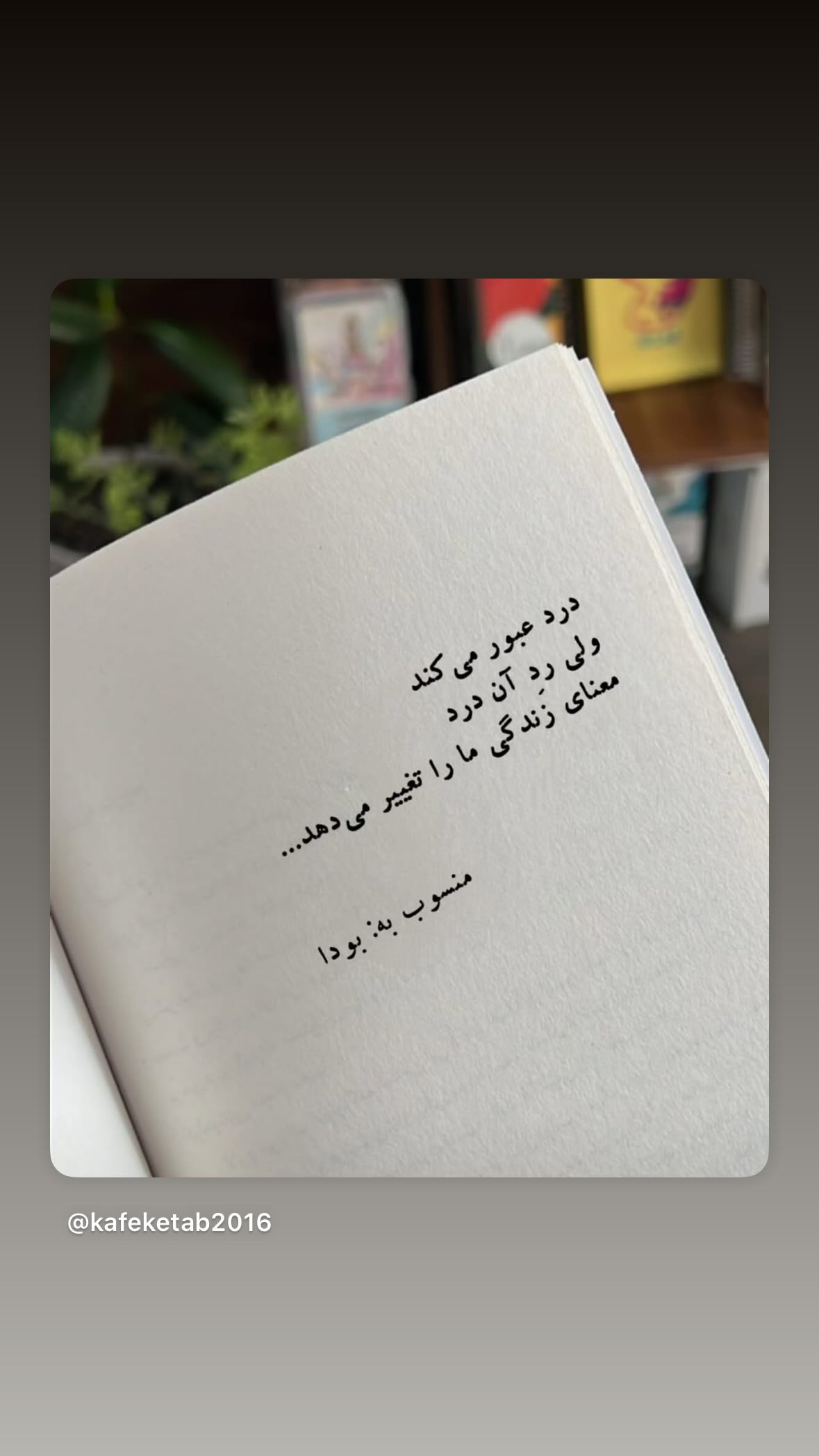  جدید ترین استوری اینستاگرام ویانا طلائـی