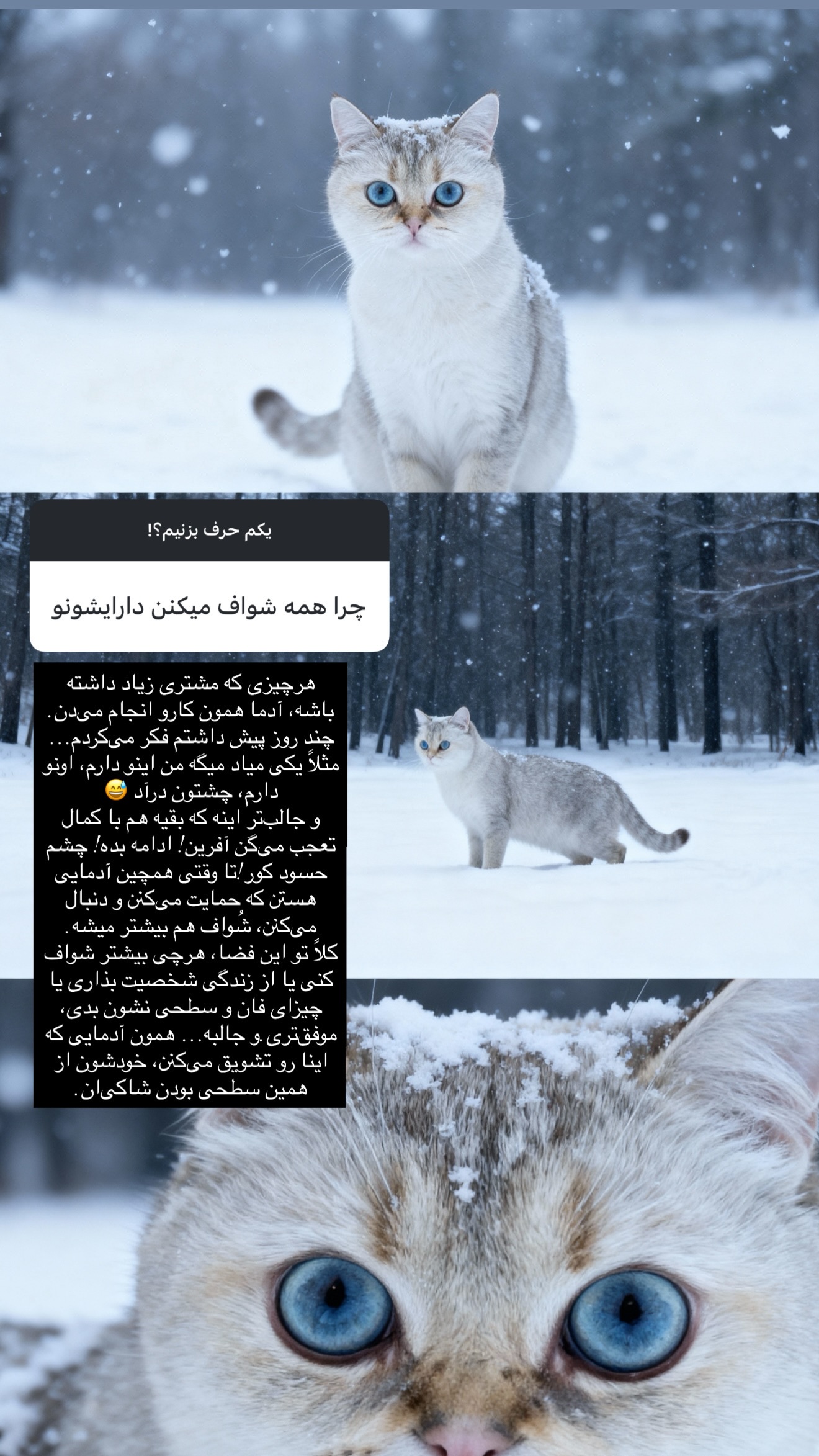  جدید ترین استوری اینستاگرام وینا محمدی