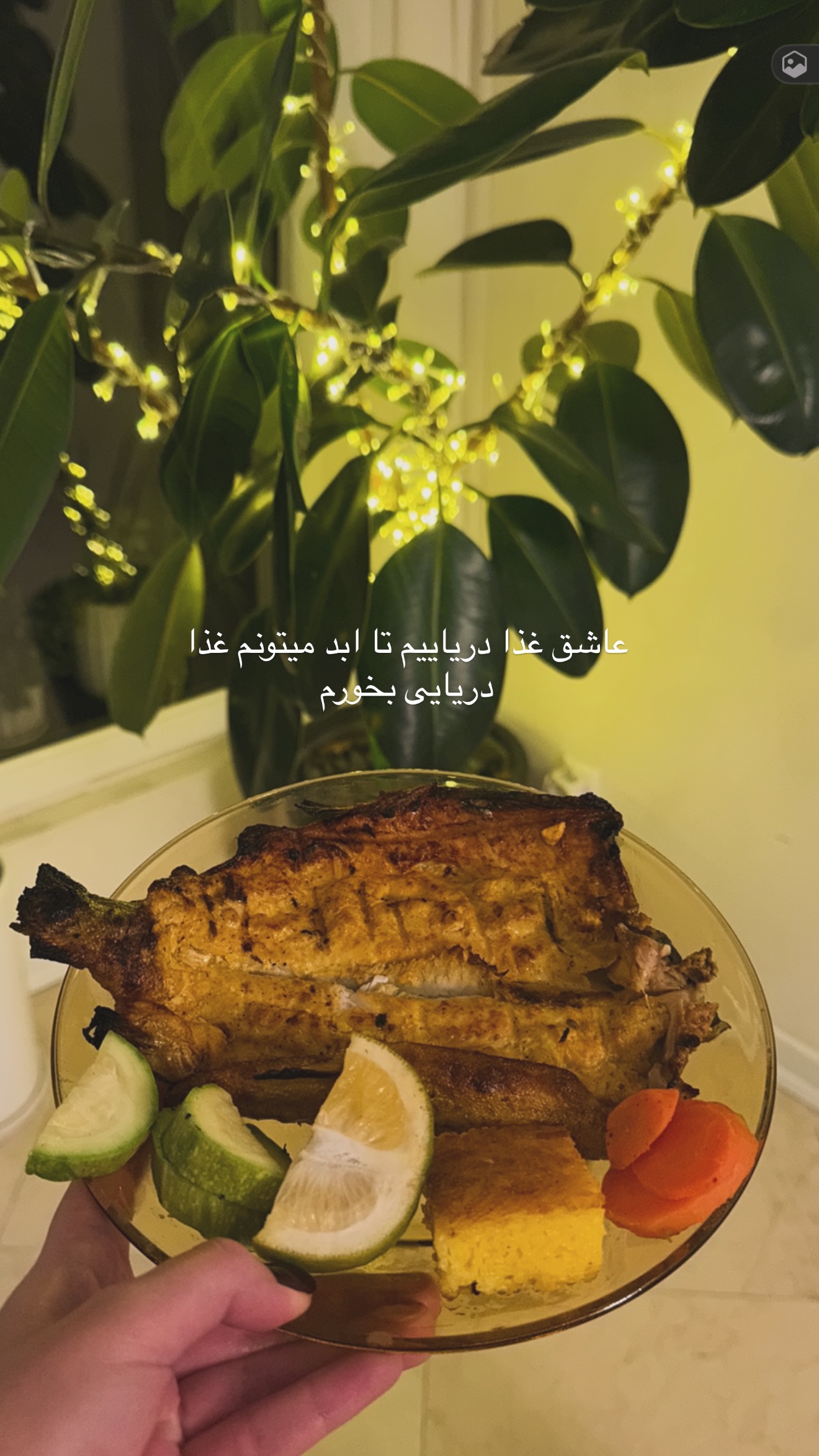  جدید ترین استوری اینستاگرام وینا محمدی