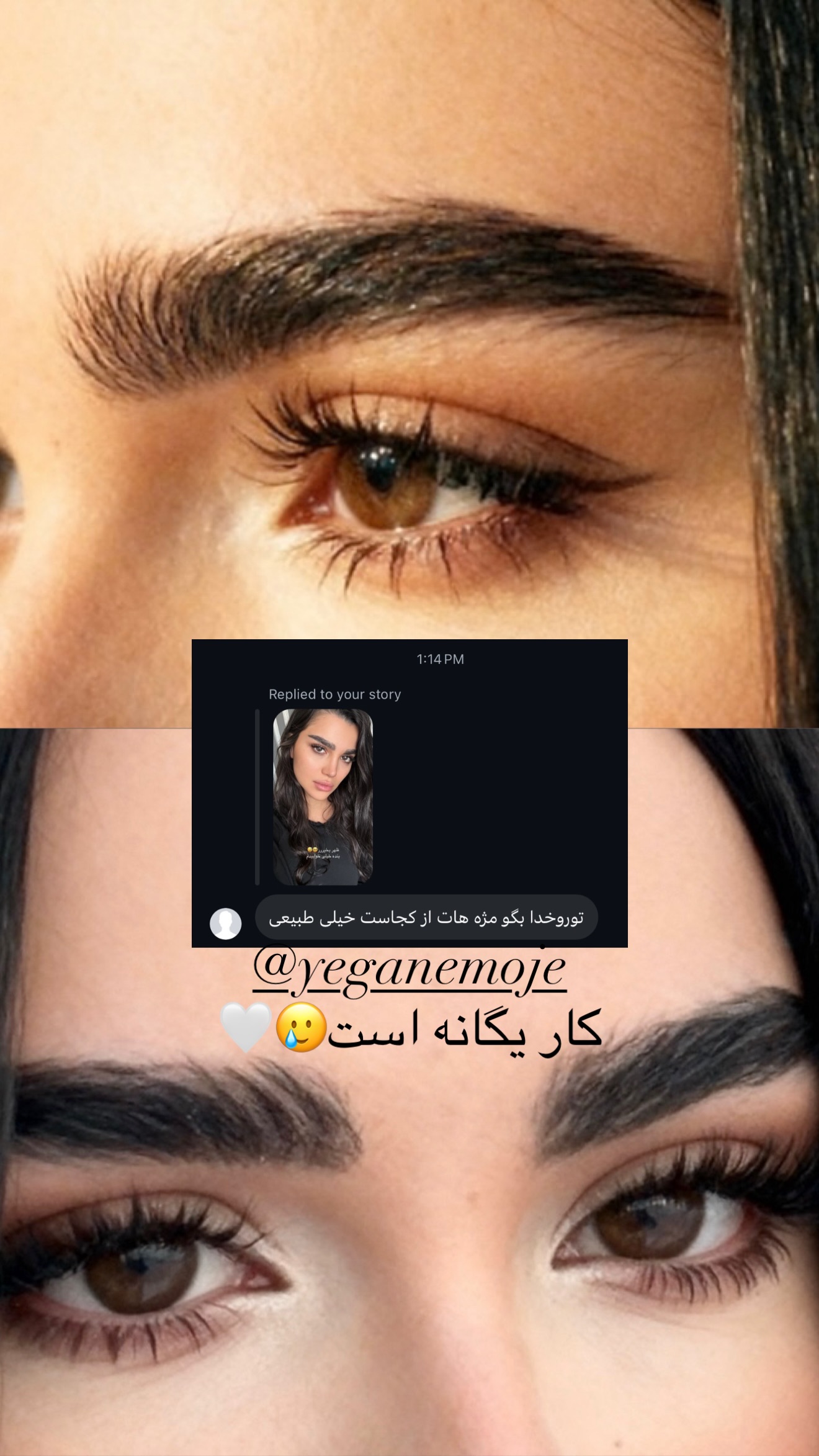  جدید ترین استوری اینستاگرام وینا محمدی