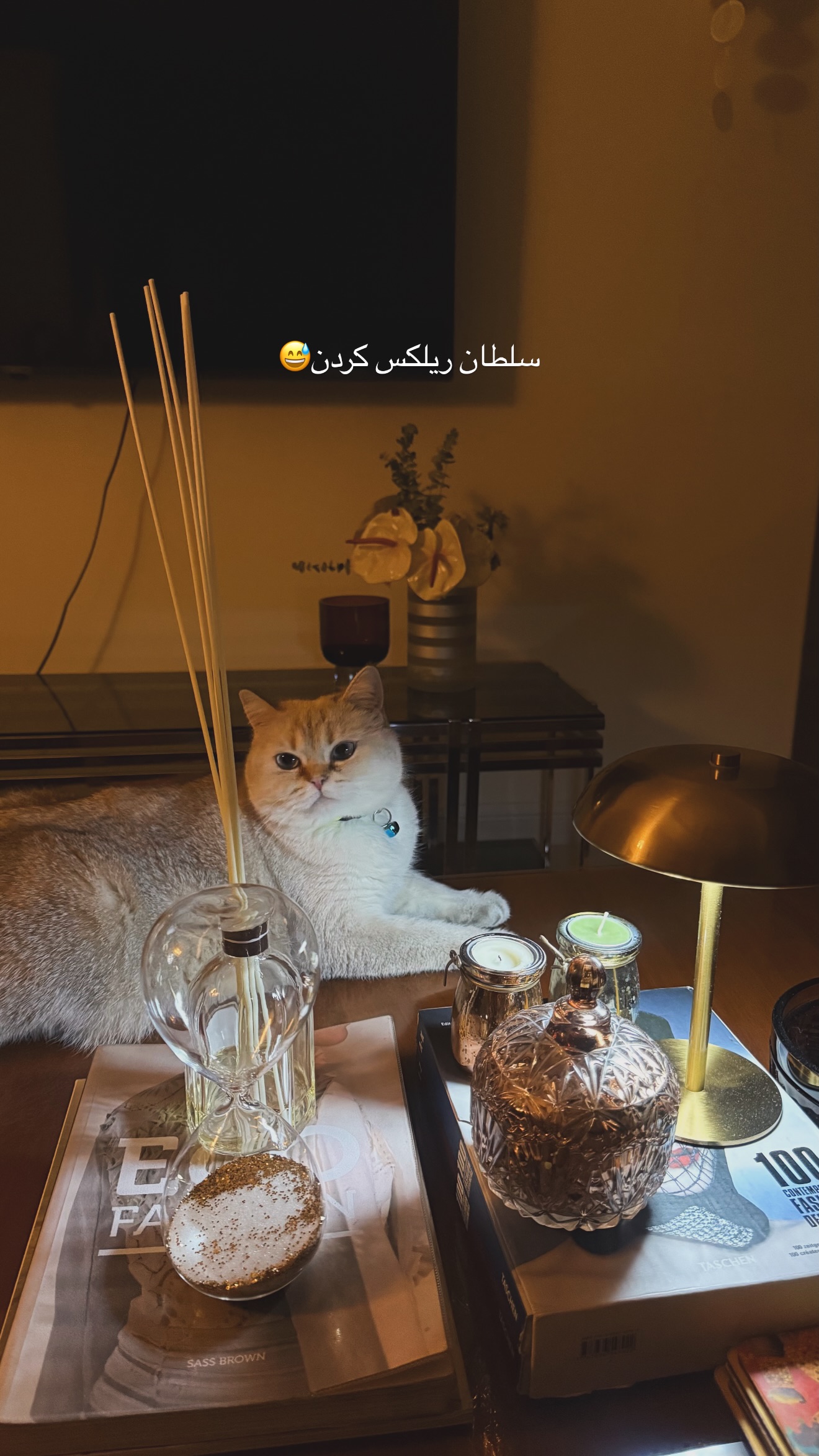  جدید ترین استوری اینستاگرام وینا محمدی