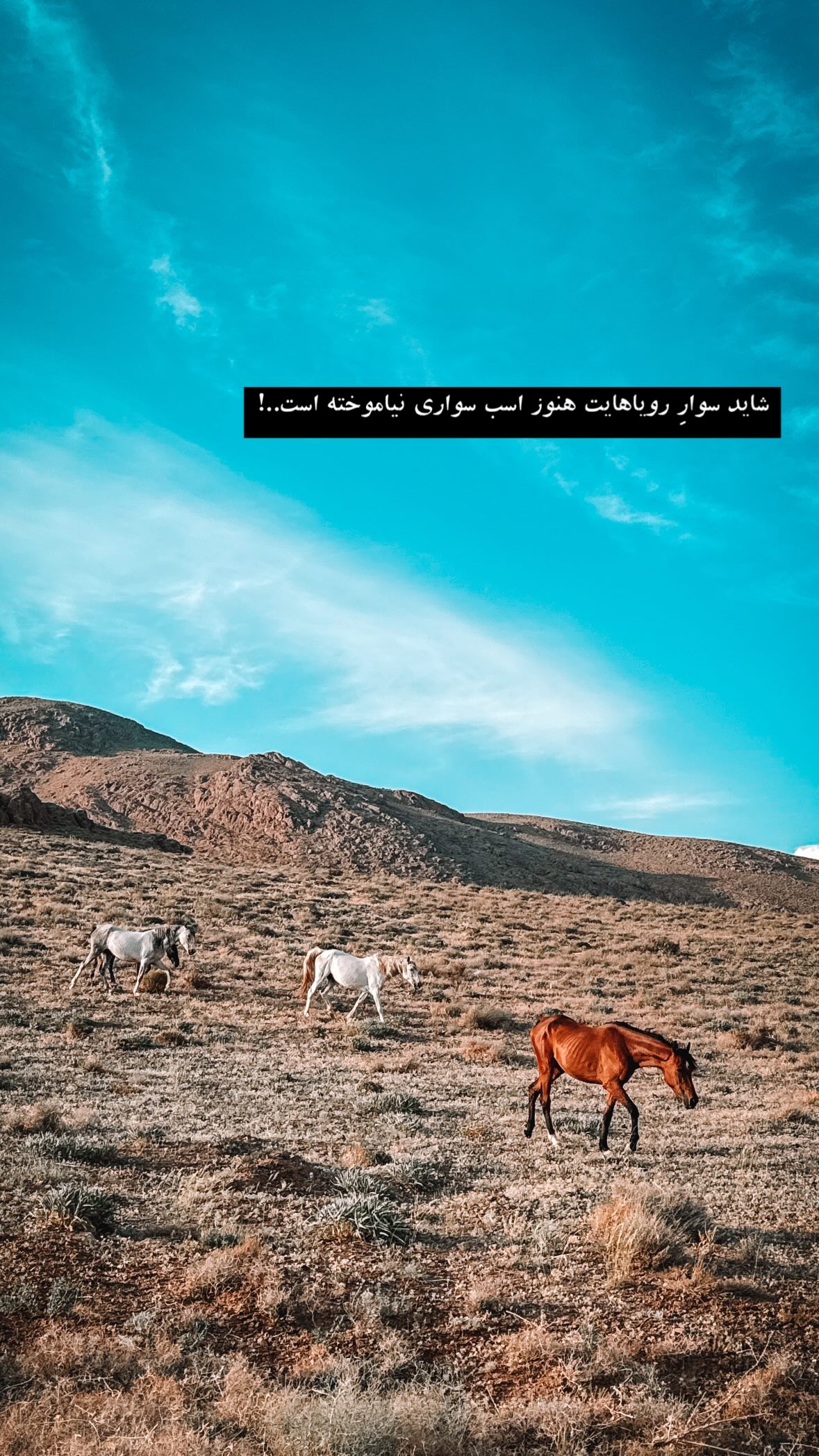  جدید ترین استوری اینستاگرام مهدی انوری مقدم
