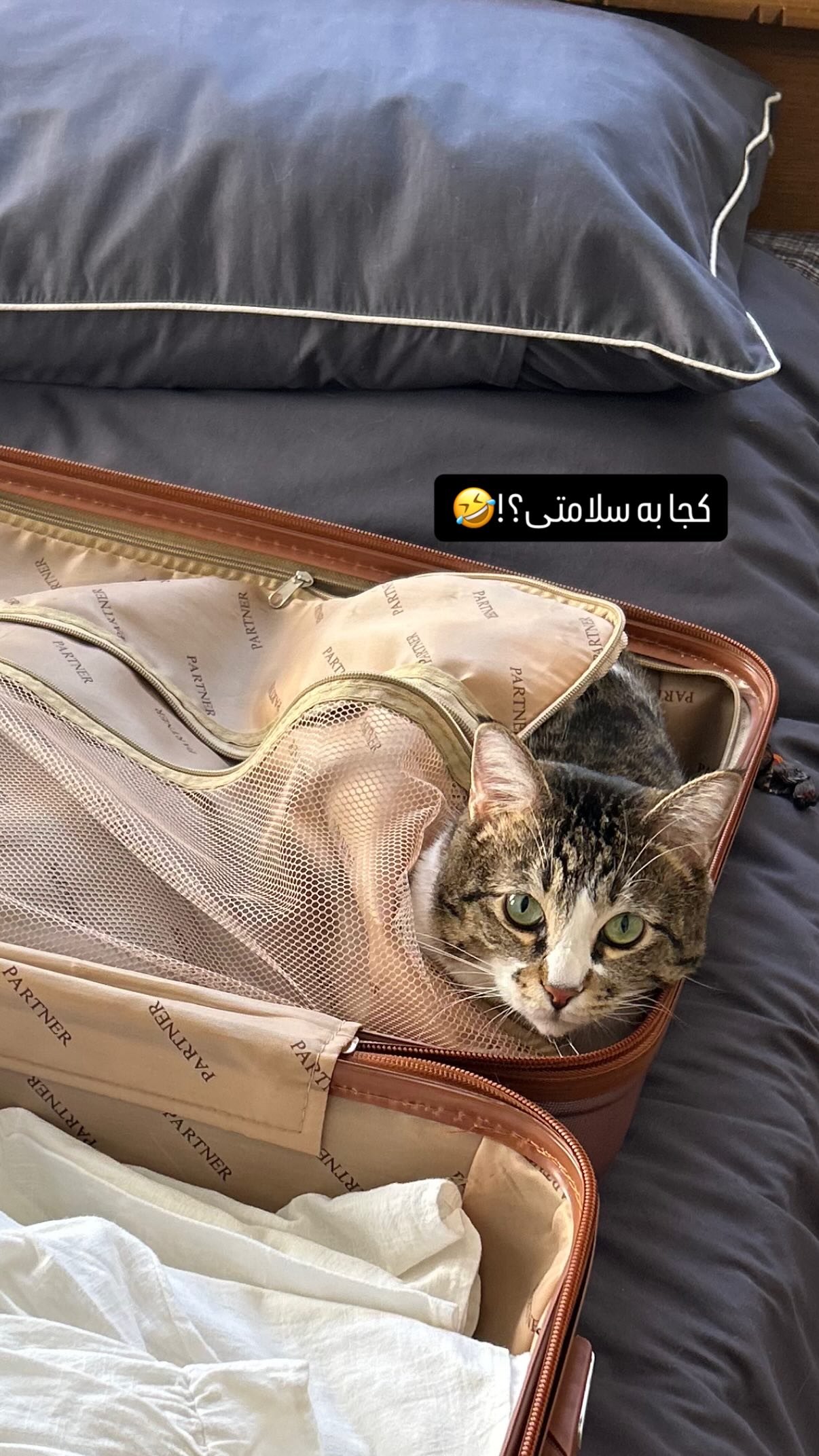  جدید ترین استوری اینستاگرام یاسی