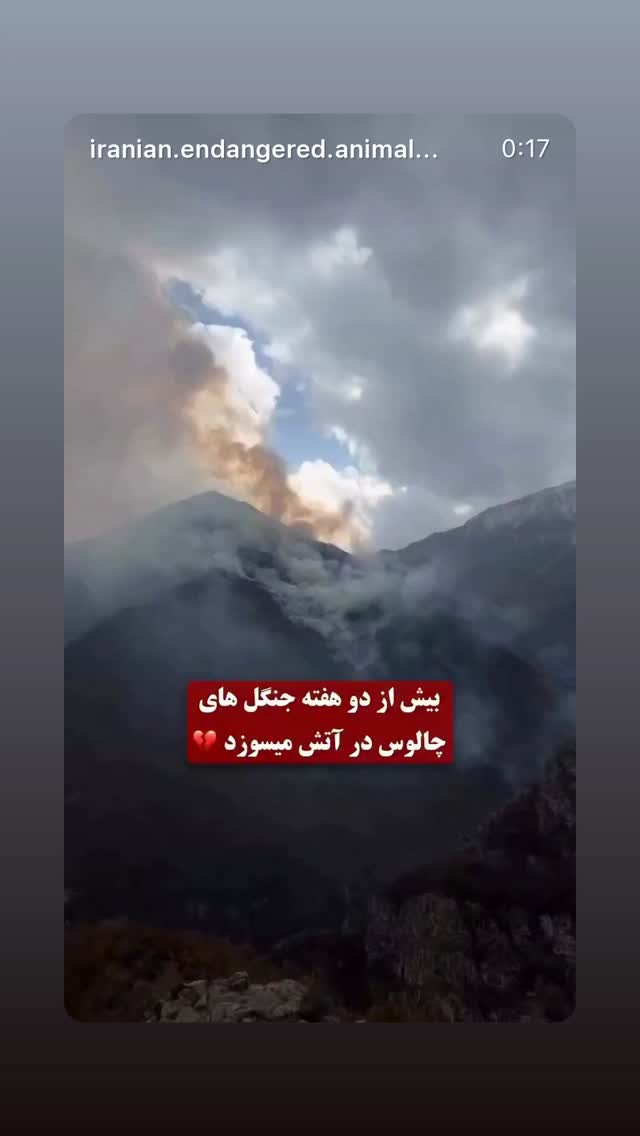  جدید ترین استوری اینستاگرام یاسی