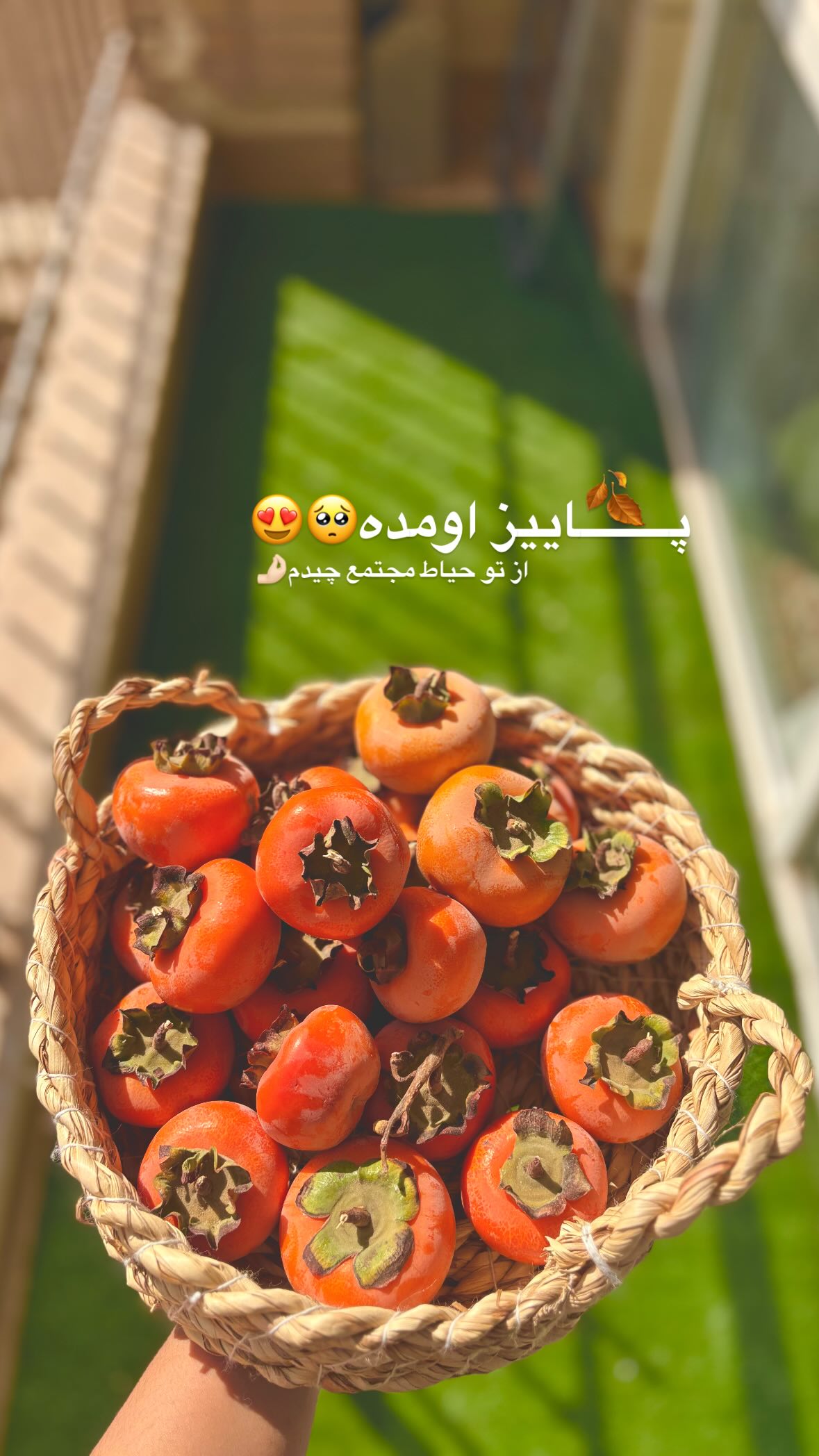  جدید ترین استوری اینستاگرام یهدا