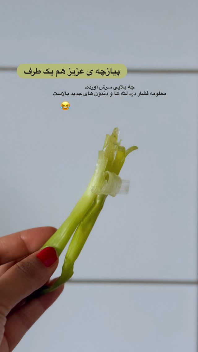  جدید ترین استوری اینستاگرام یلدا عباسی