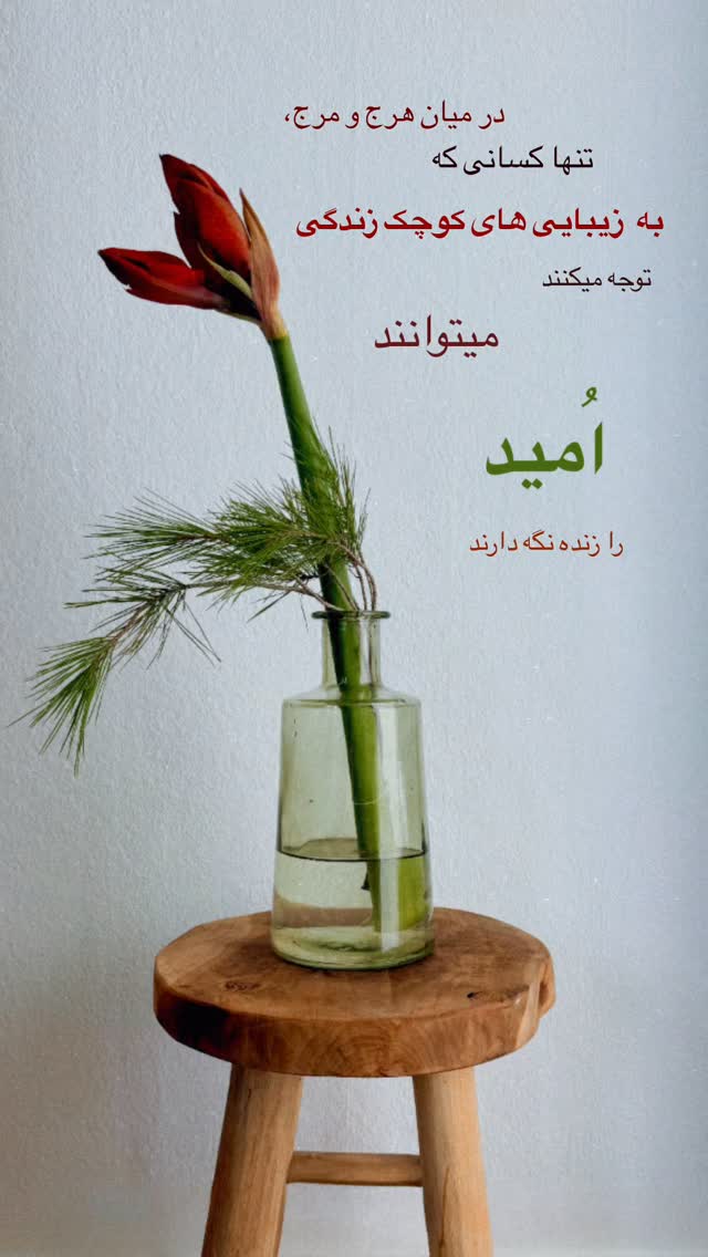  جدید ترین استوری اینستاگرام یلدا عباسی