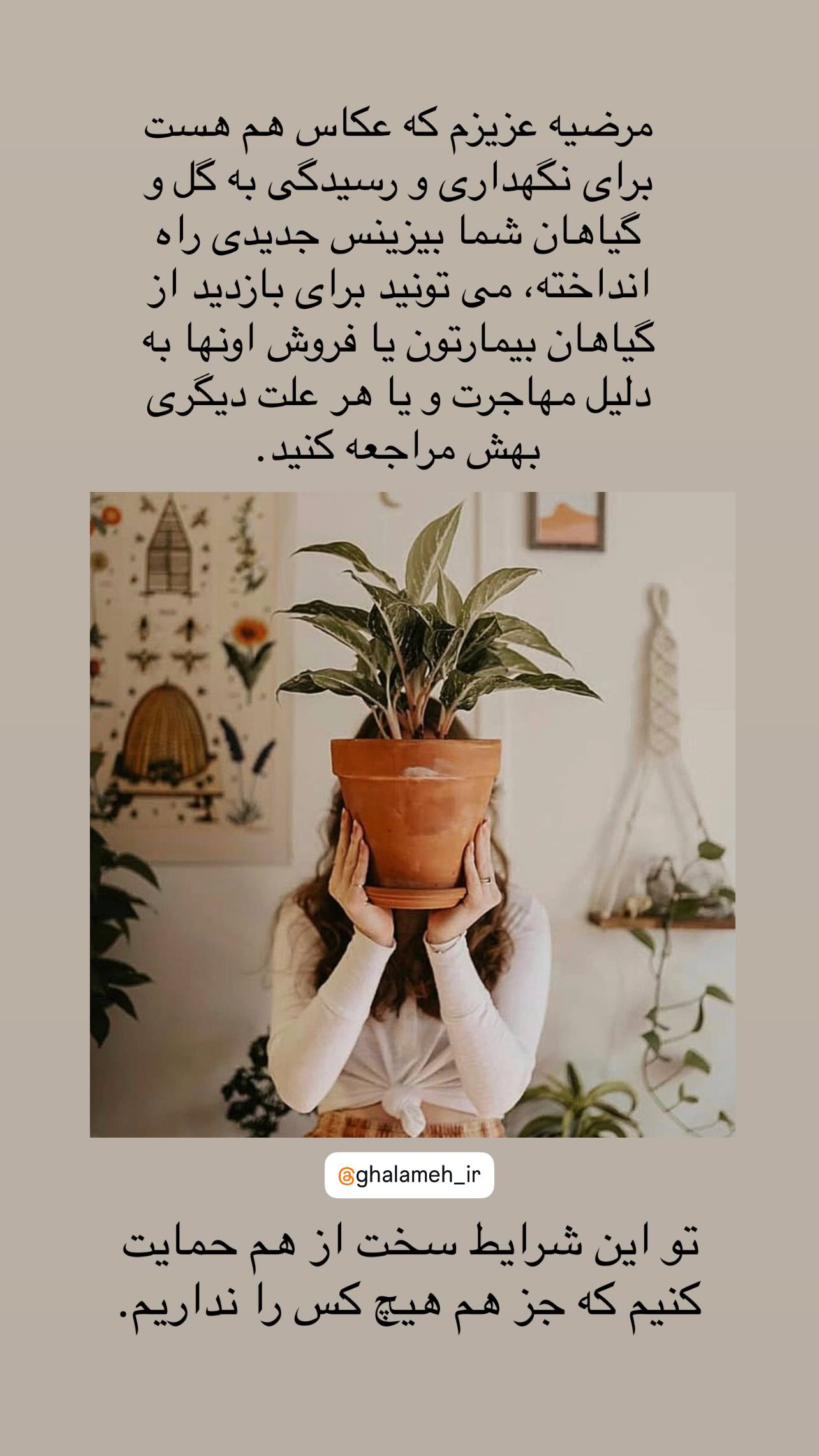  جدید ترین استوری اینستاگرام یلدا معیری