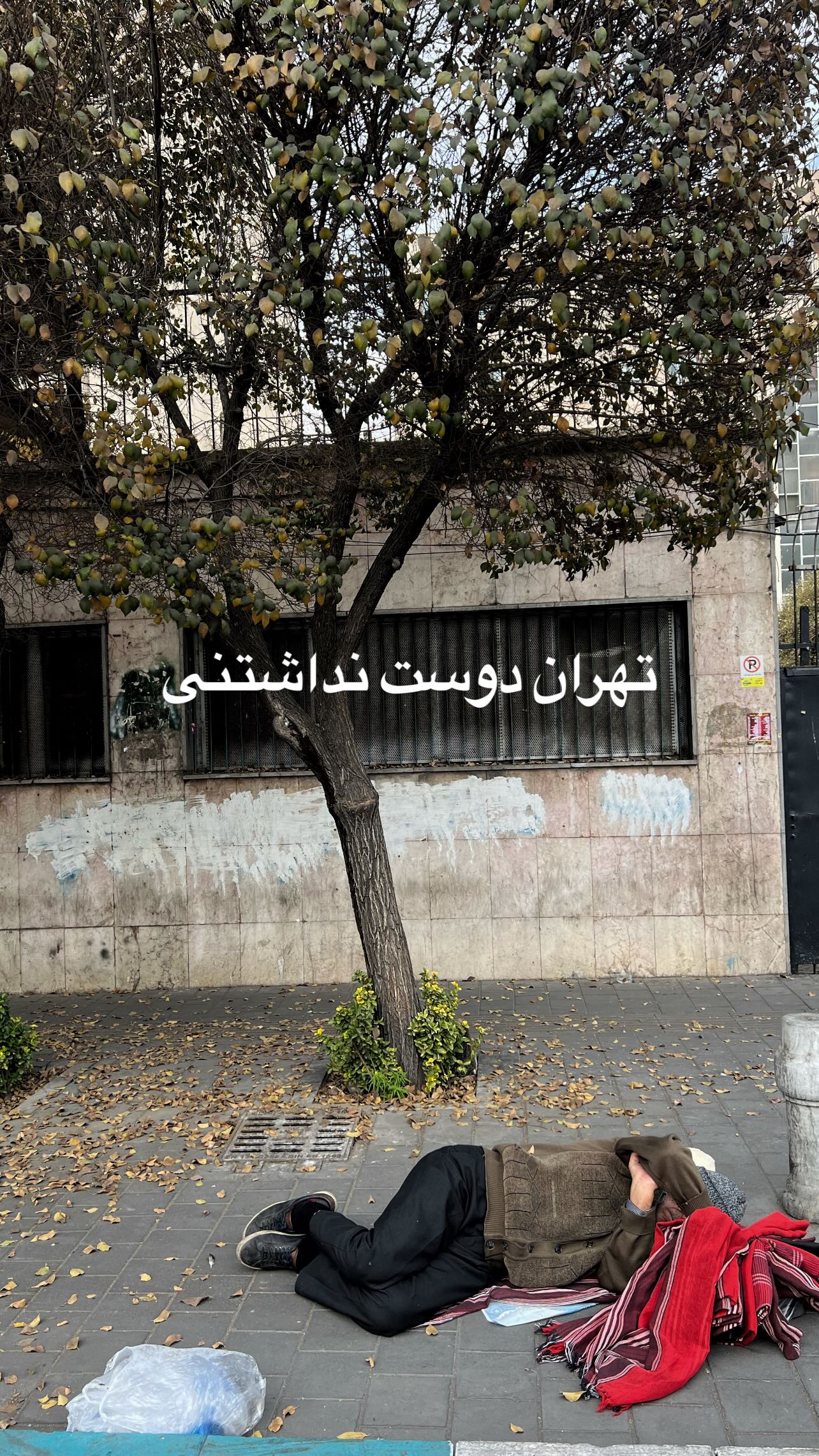  جدید ترین استوری اینستاگرام یلدا معیری