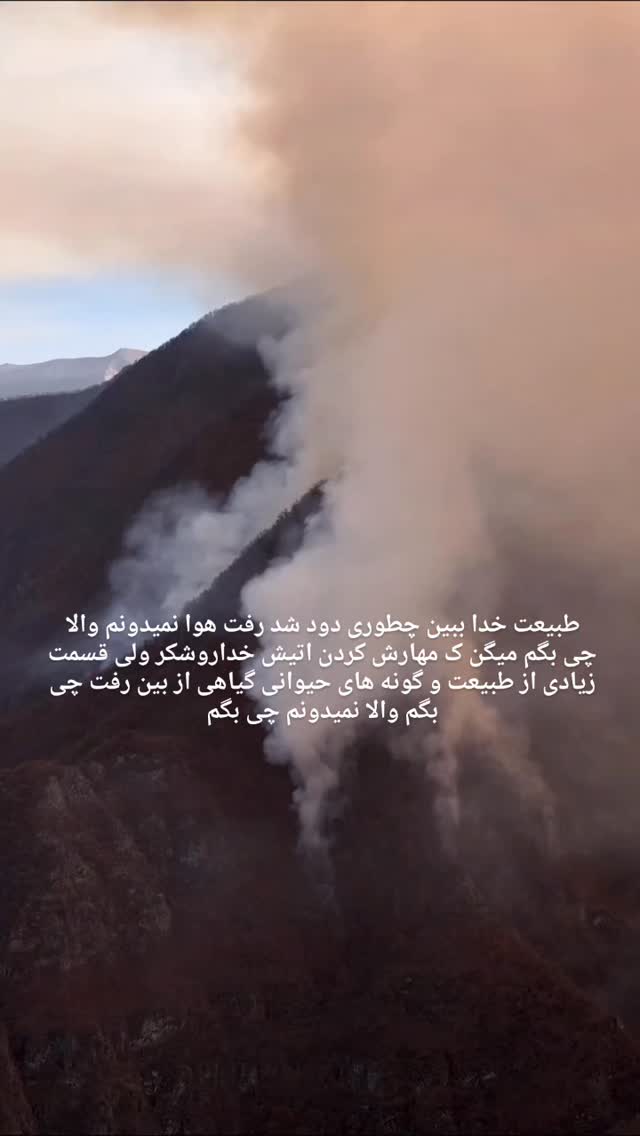  جدید ترین استوری اینستاگرام یاشار راد