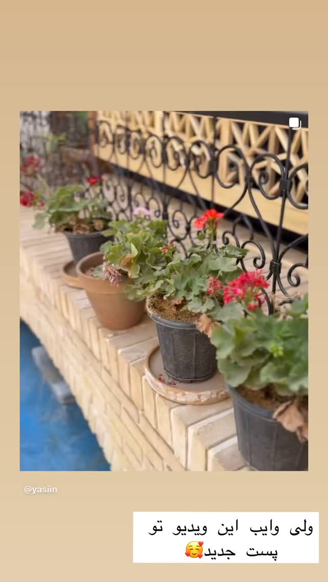  جدید ترین استوری اینستاگرام زهرا سادات یحیی زاده