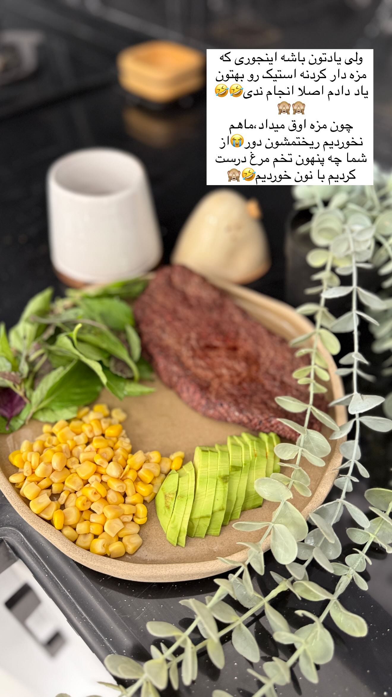  جدید ترین استوری اینستاگرام زهرا سادات یحیی زاده
