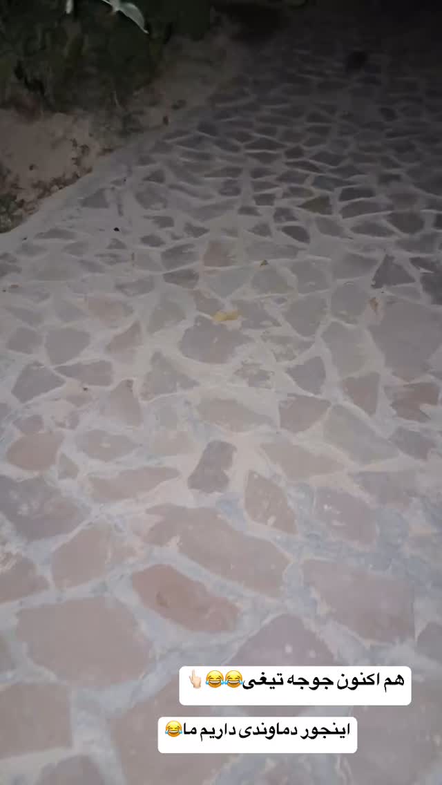  جدید ترین استوری اینستاگرام زهرا سادات یحیی زاده