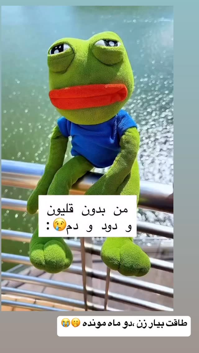  جدید ترین استوری اینستاگرام زهرا سادات یحیی زاده