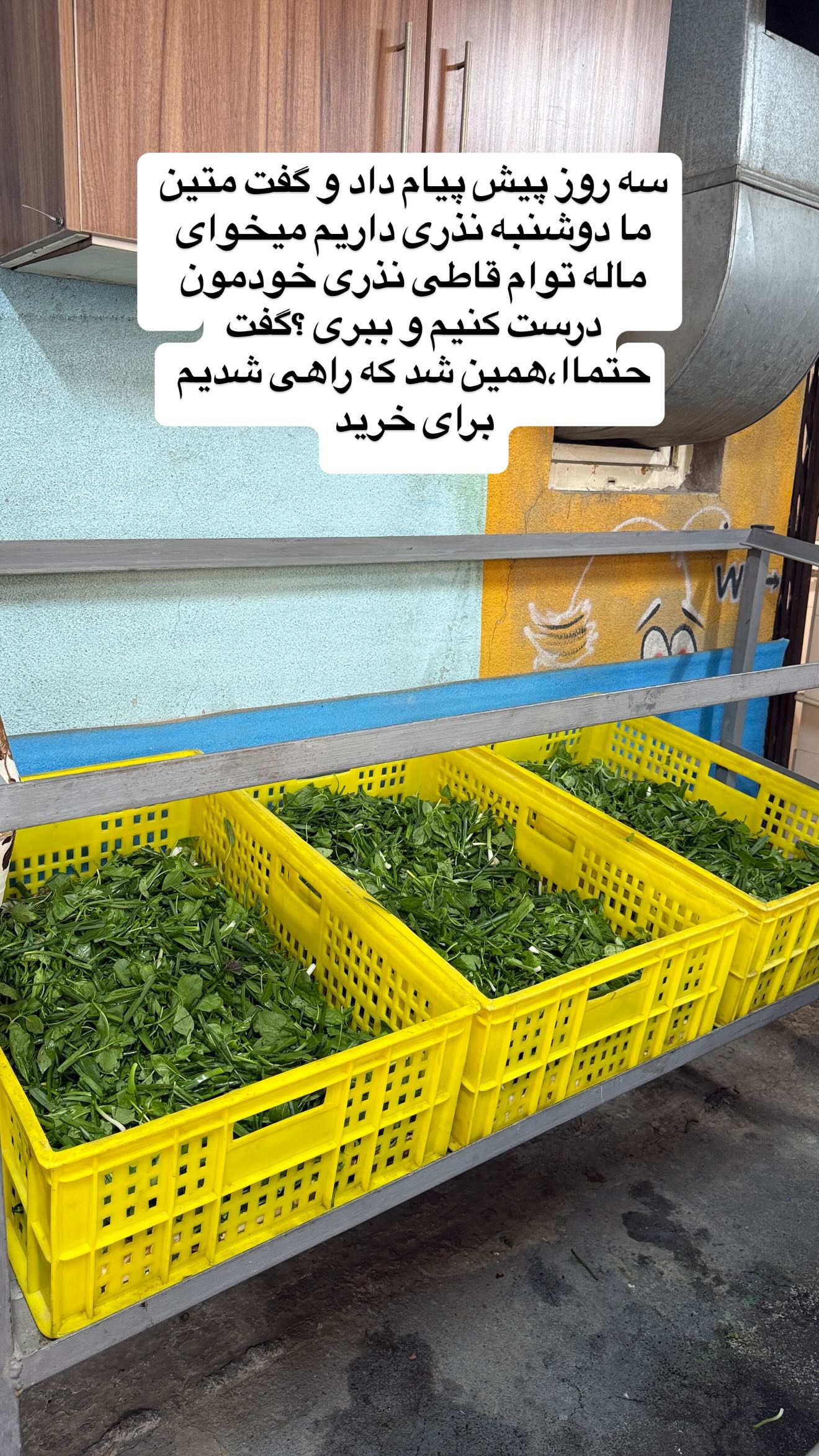  جدید ترین استوری اینستاگرام زهرا سادات یحیی زاده