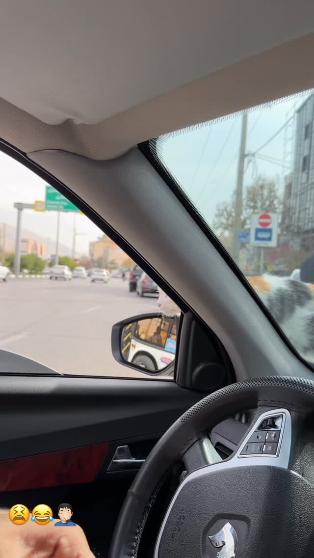  جدید ترین استوری اینستاگرام یاسین حسینی