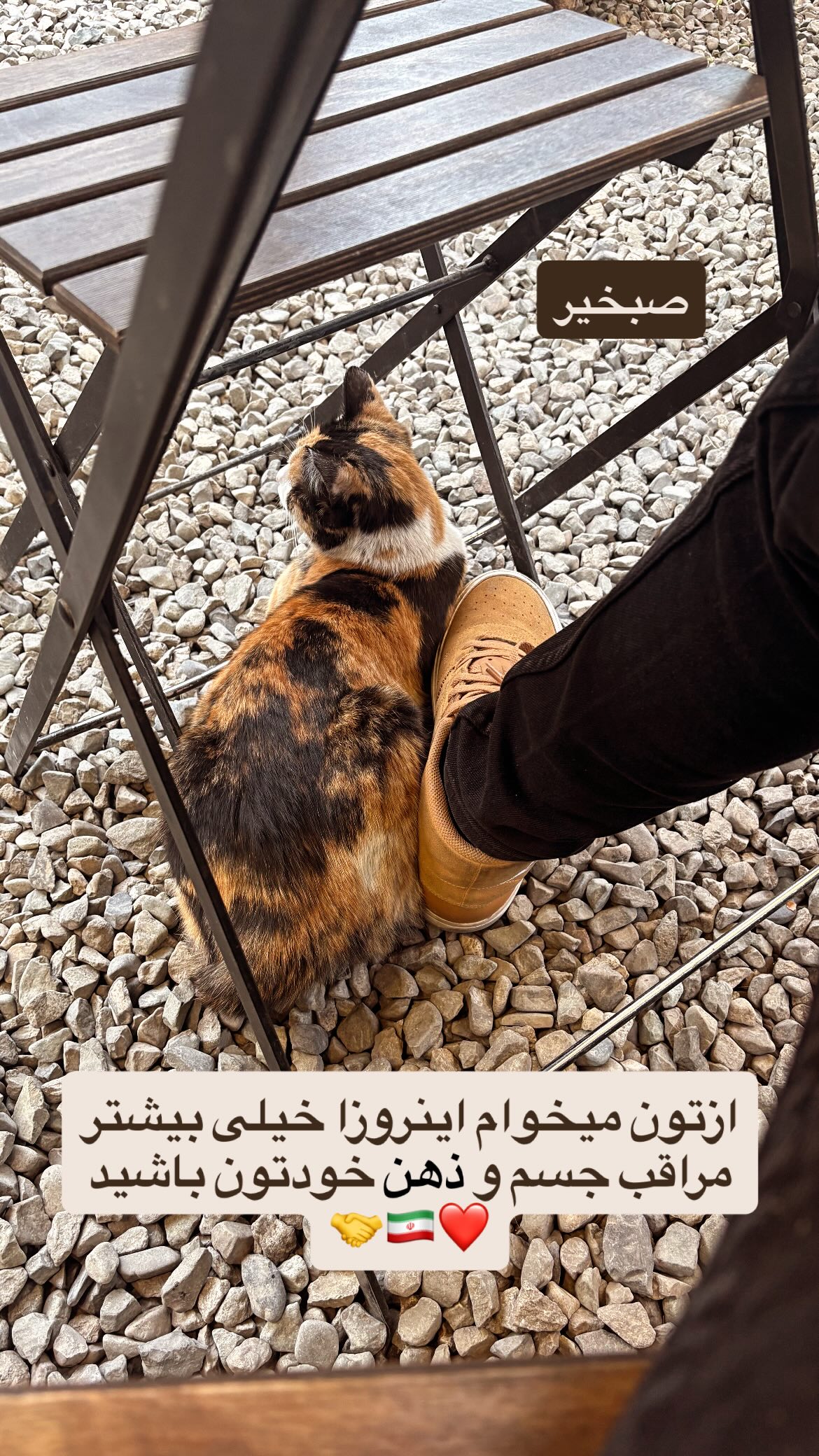  جدید ترین استوری اینستاگرام یزدان جعفرزاده