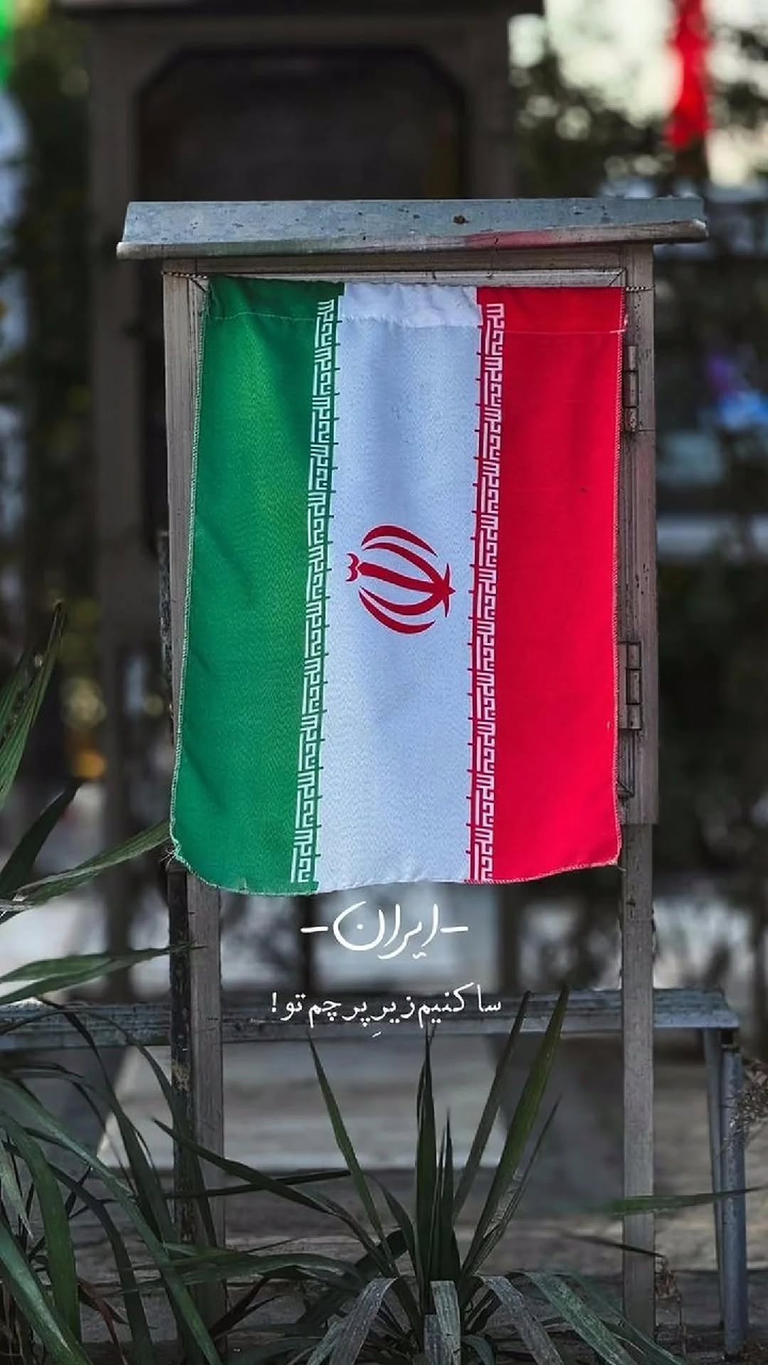  جدید ترین استوری اینستاگرام یونس کریم زاده