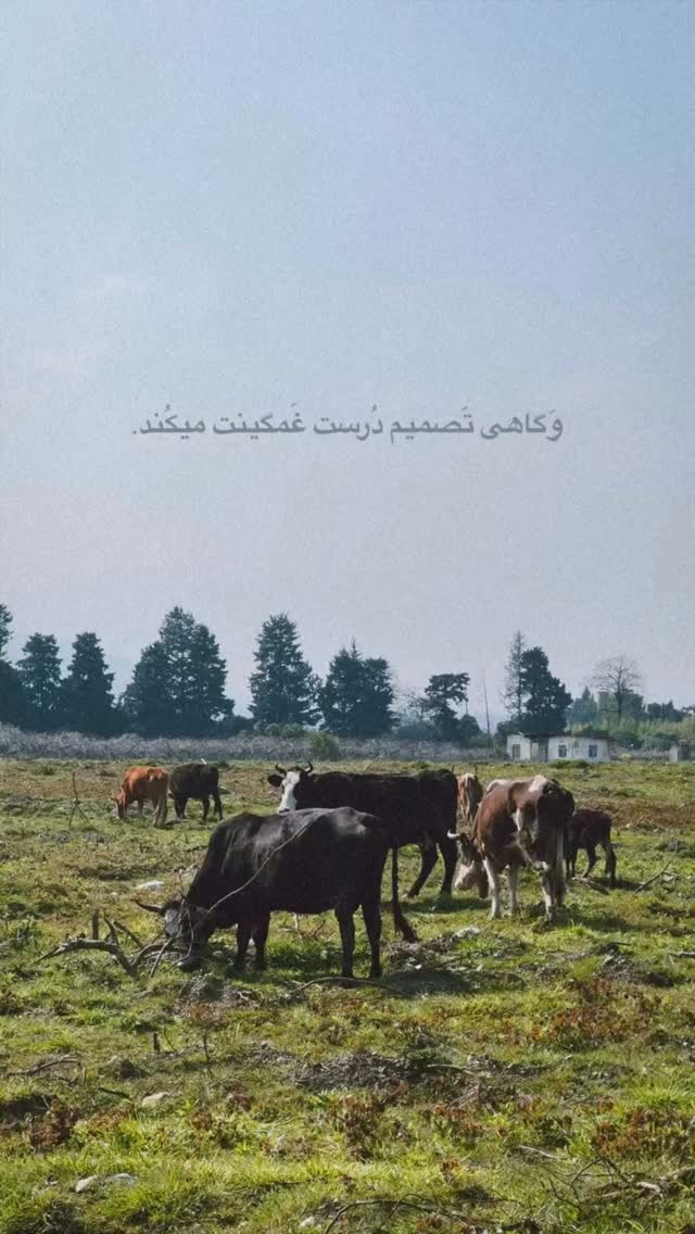  جدید ترین استوری اینستاگرام یونس کریم زاده