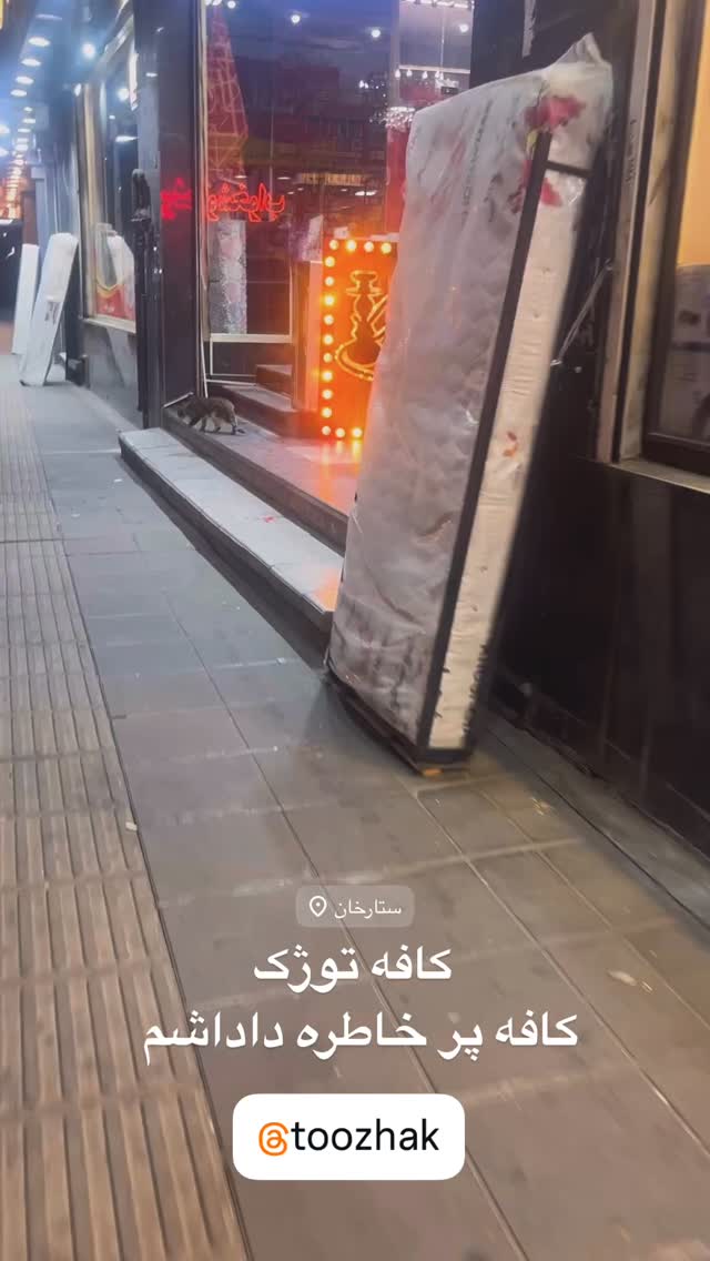  جدید ترین استوری اینستاگرام یوسف تیموری