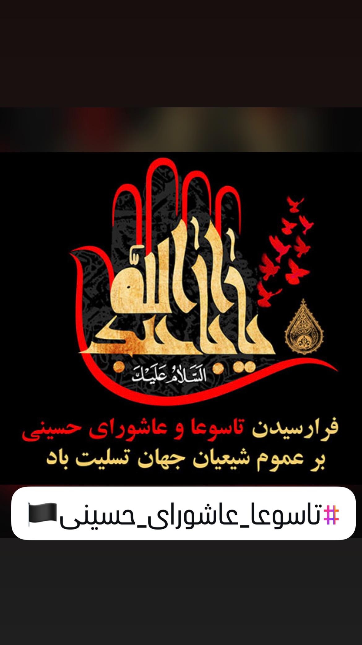  جدید ترین استوری اینستاگرام ذبیح الله پور شیب