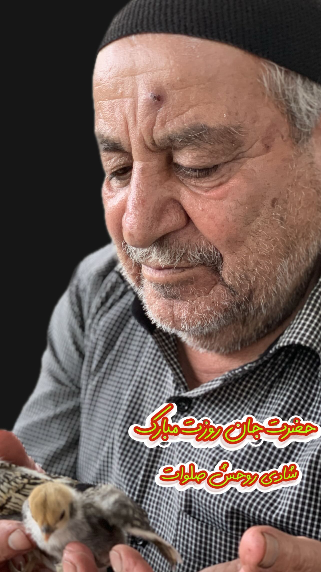  جدید ترین استوری اینستاگرام کمیل نظافتی آملی