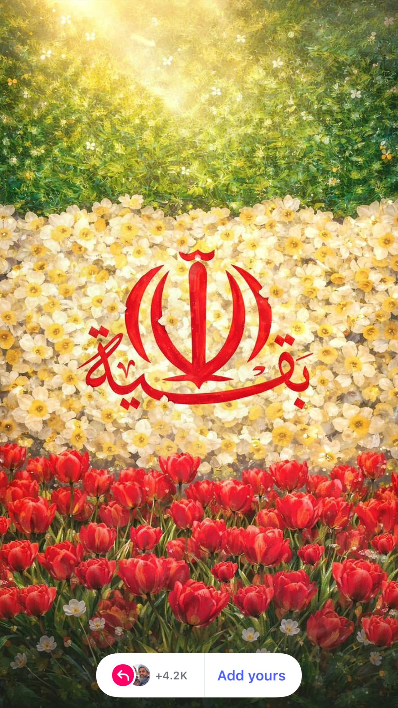  جدید ترین استوری اینستاگرام کمیل نظافتی آملی