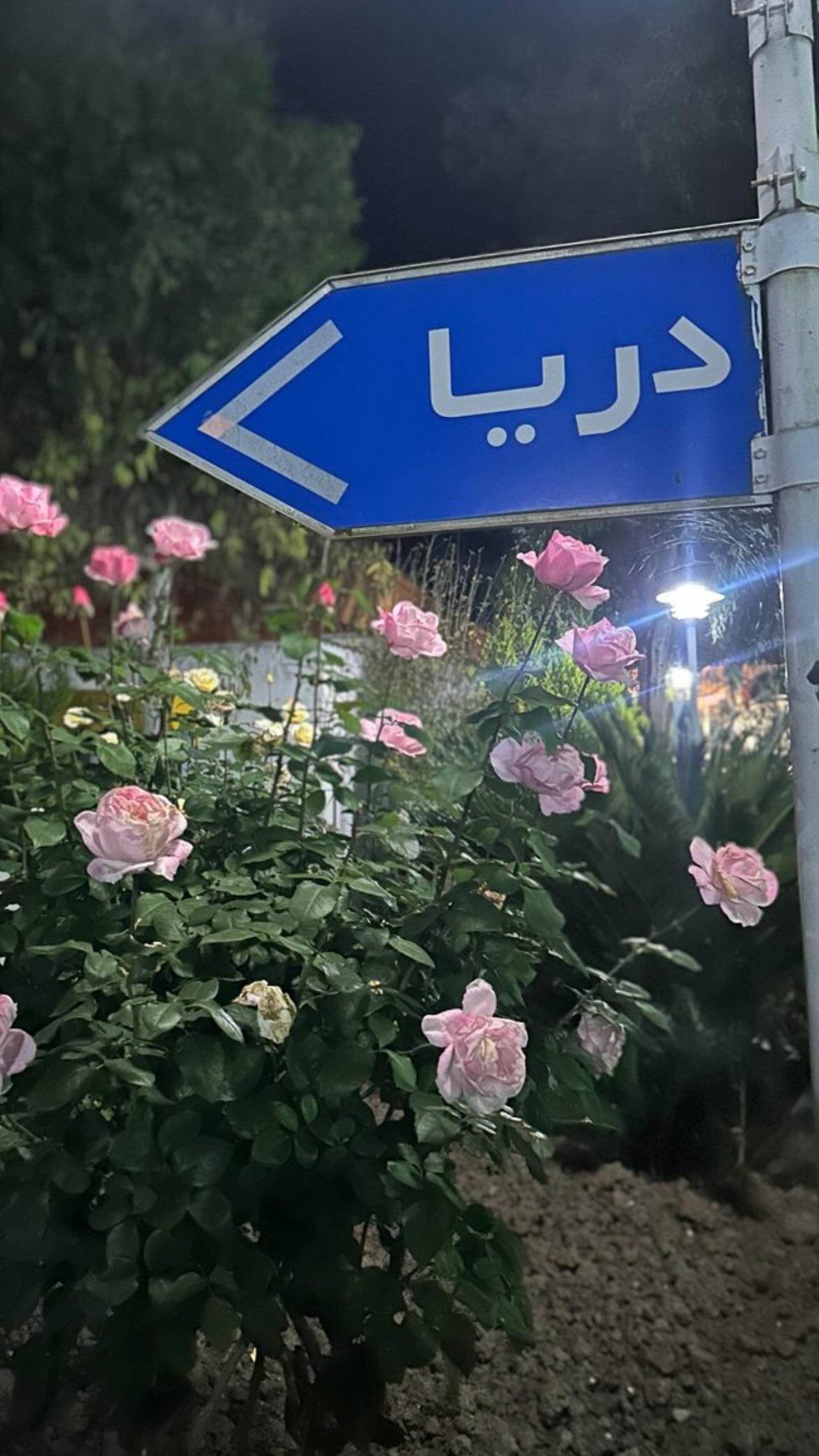  جدید ترین استوری اینستاگرام زهرا چخماقى