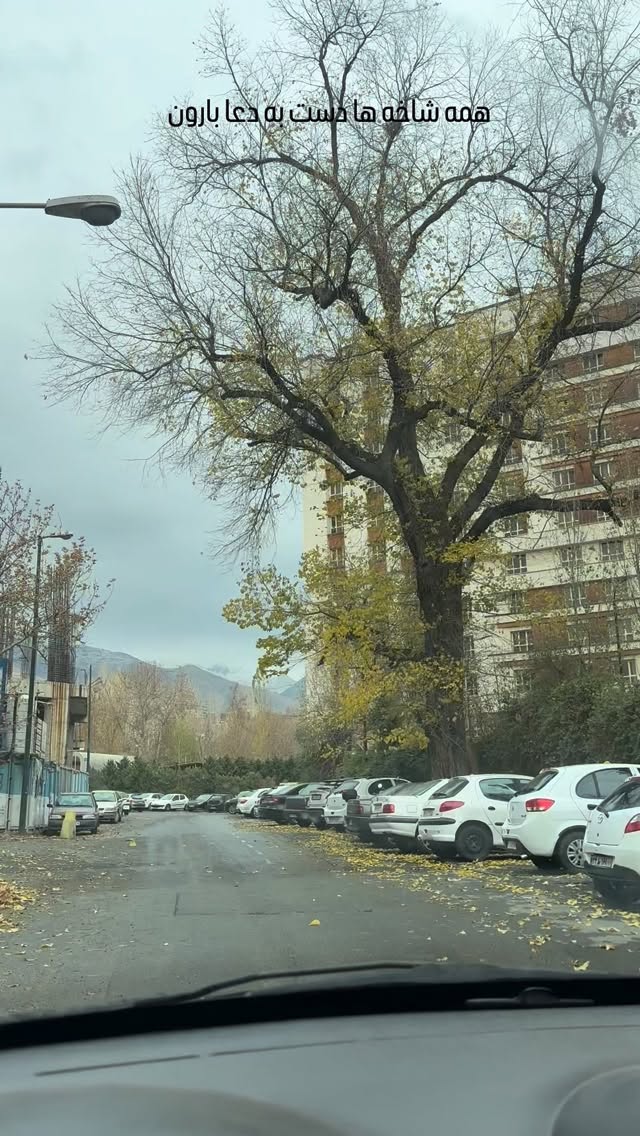  جدید ترین استوری اینستاگرام زهرا چخماقى