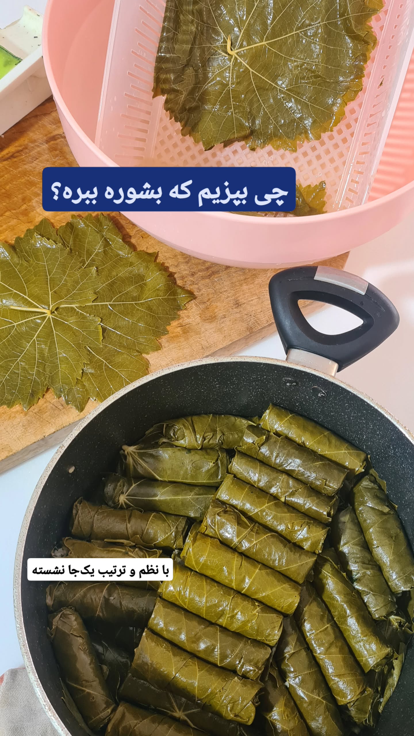 جدید ترین استوری اینستاگرام زهرا کاردانی