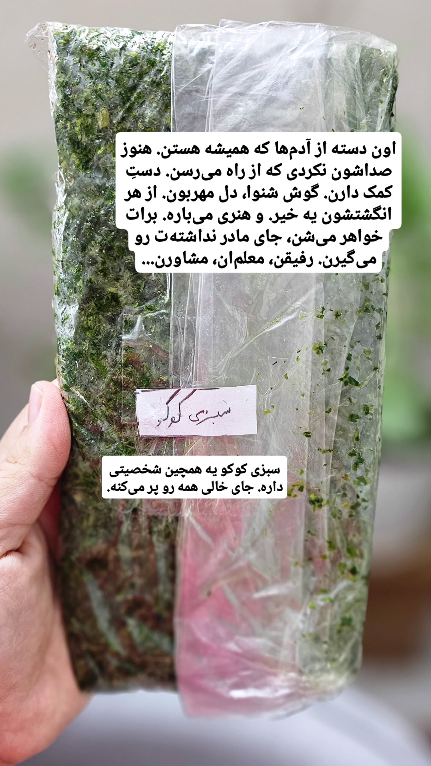  جدید ترین استوری اینستاگرام زهرا کاردانی