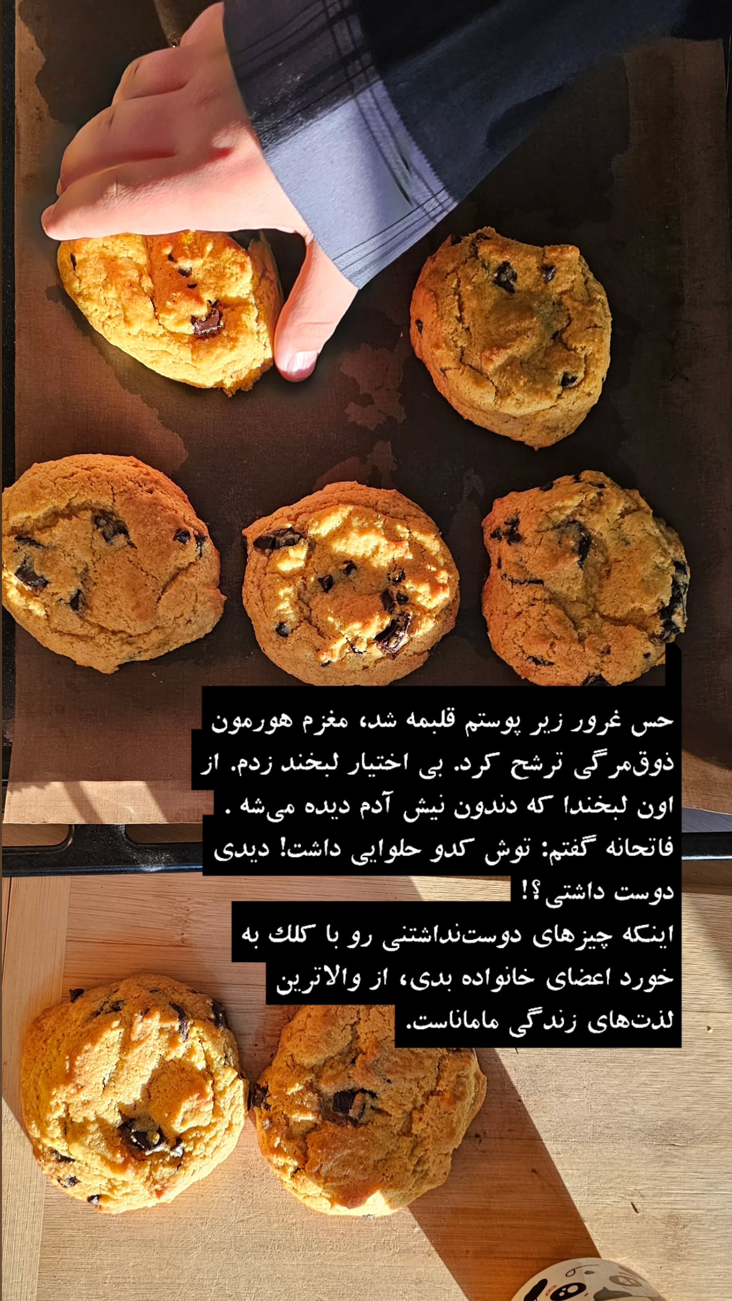  جدید ترین استوری اینستاگرام زهرا کاردانی