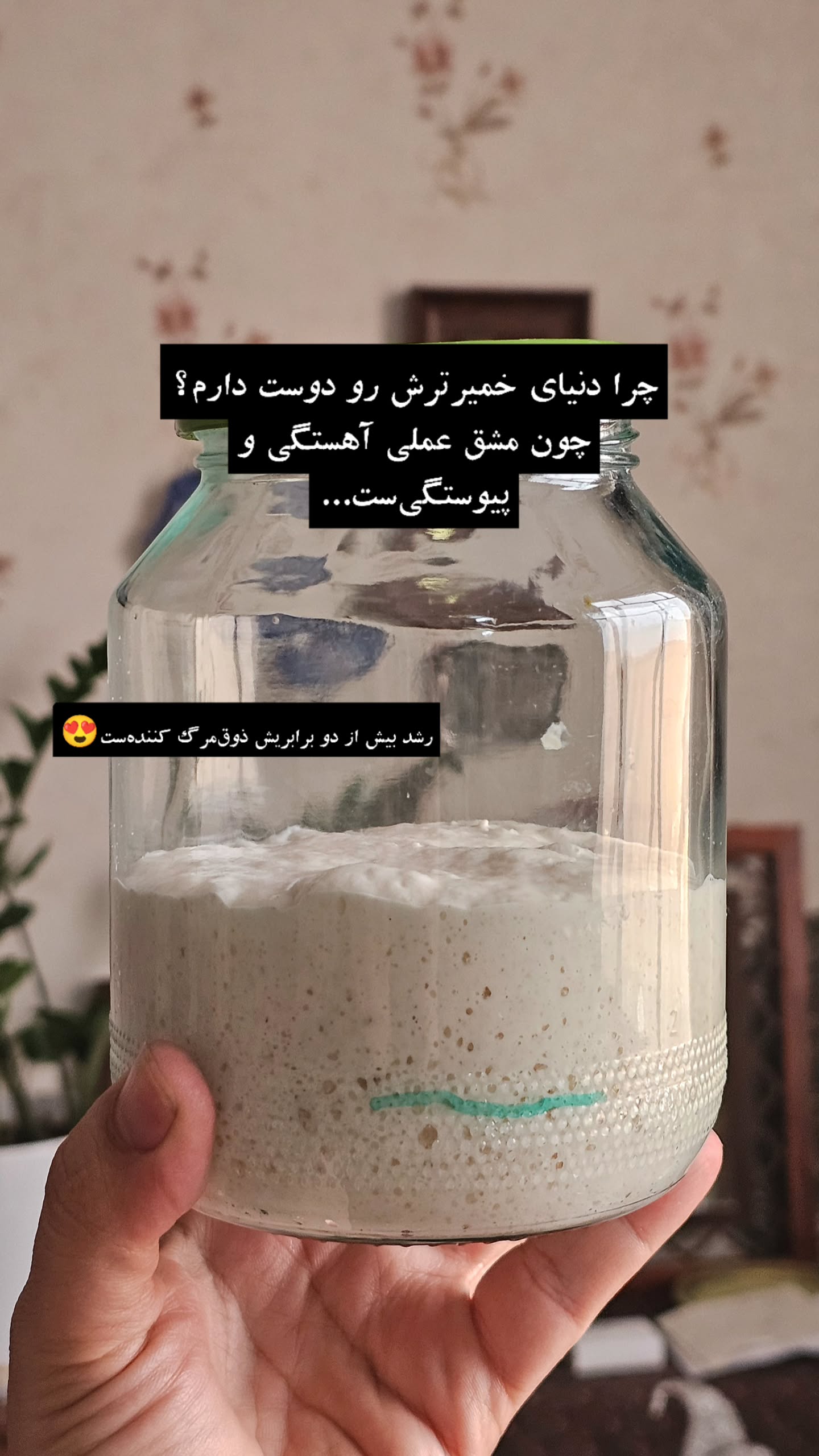  جدید ترین استوری اینستاگرام زهرا کاردانی