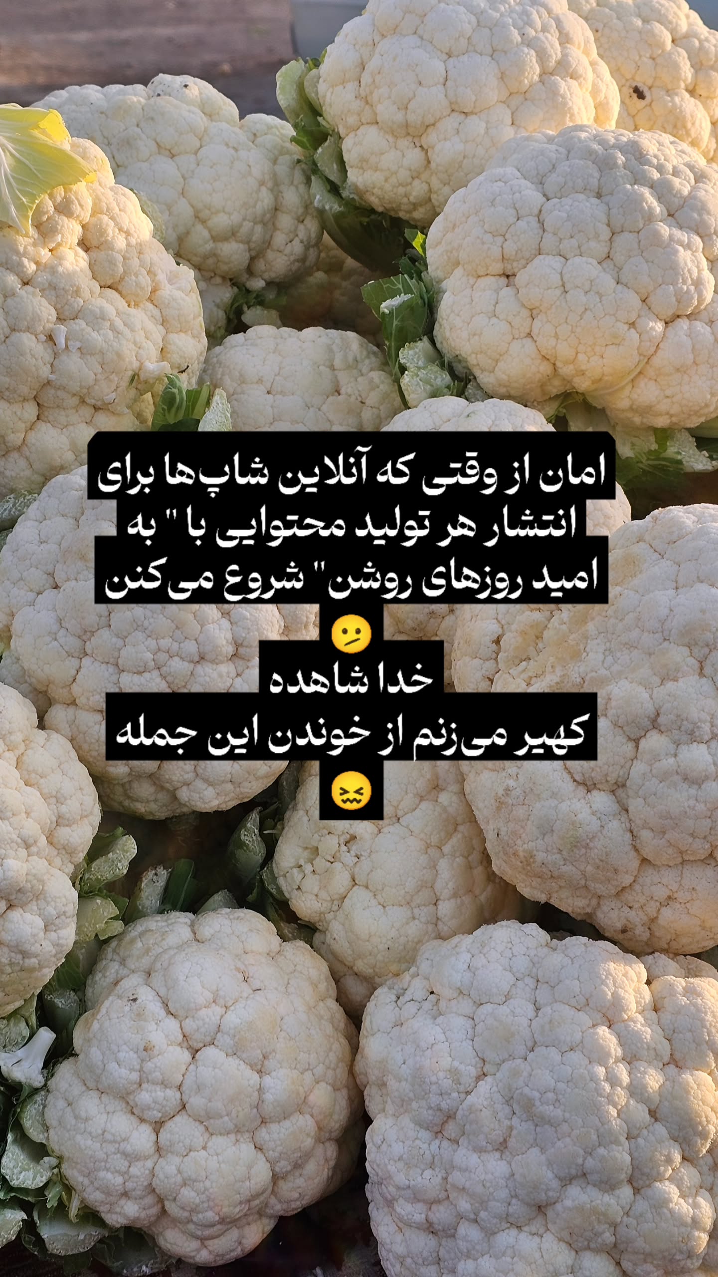  جدید ترین استوری اینستاگرام زهرا کاردانی