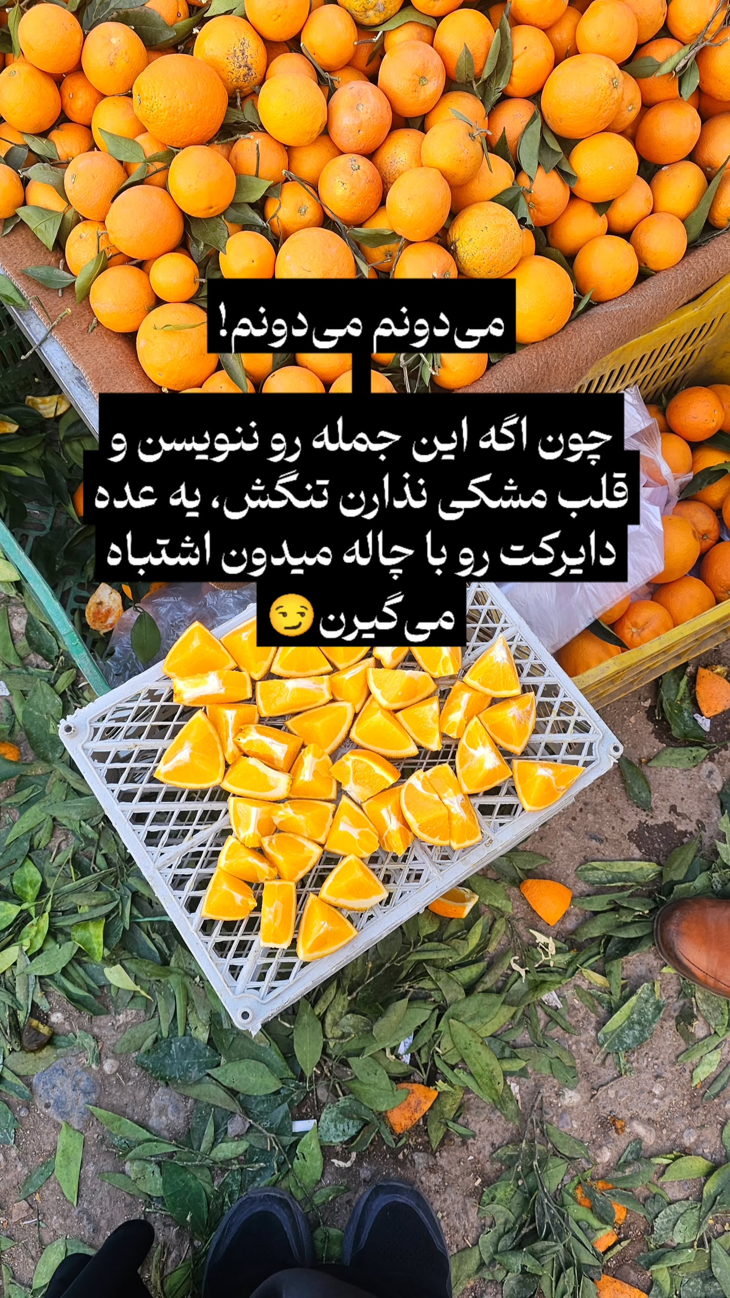  جدید ترین استوری اینستاگرام زهرا کاردانی