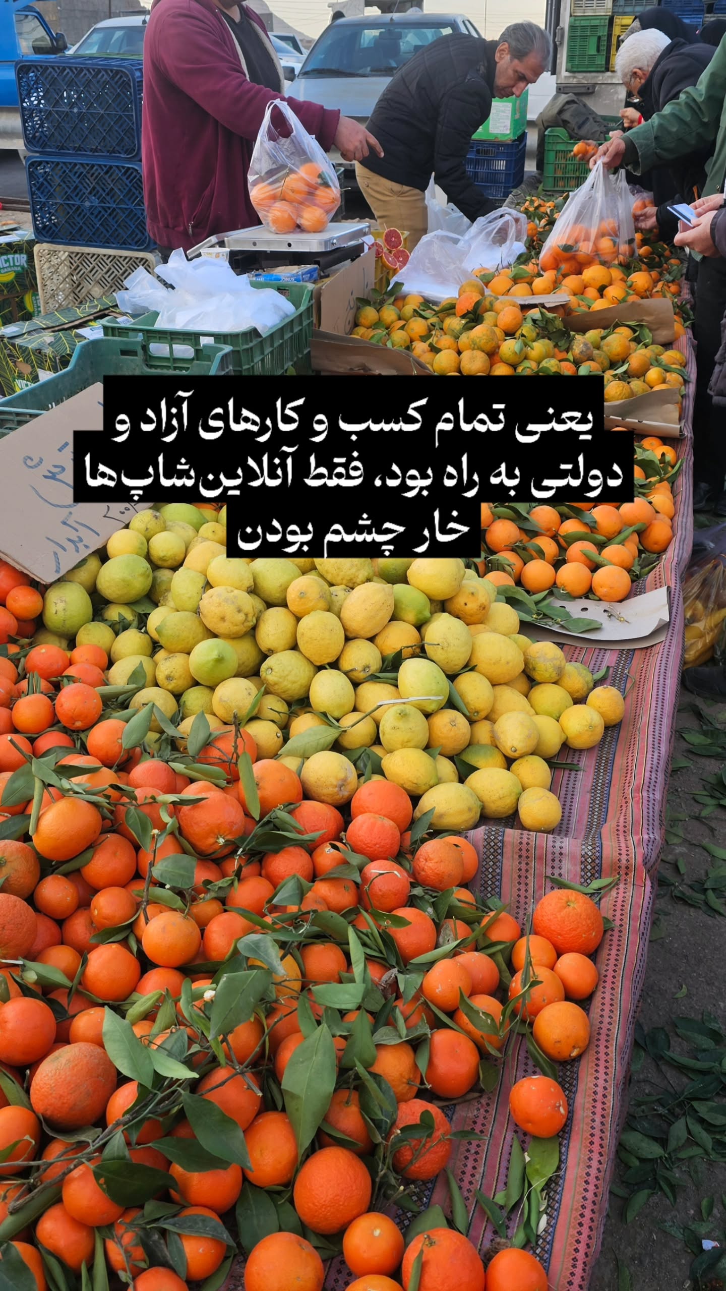  جدید ترین استوری اینستاگرام زهرا کاردانی