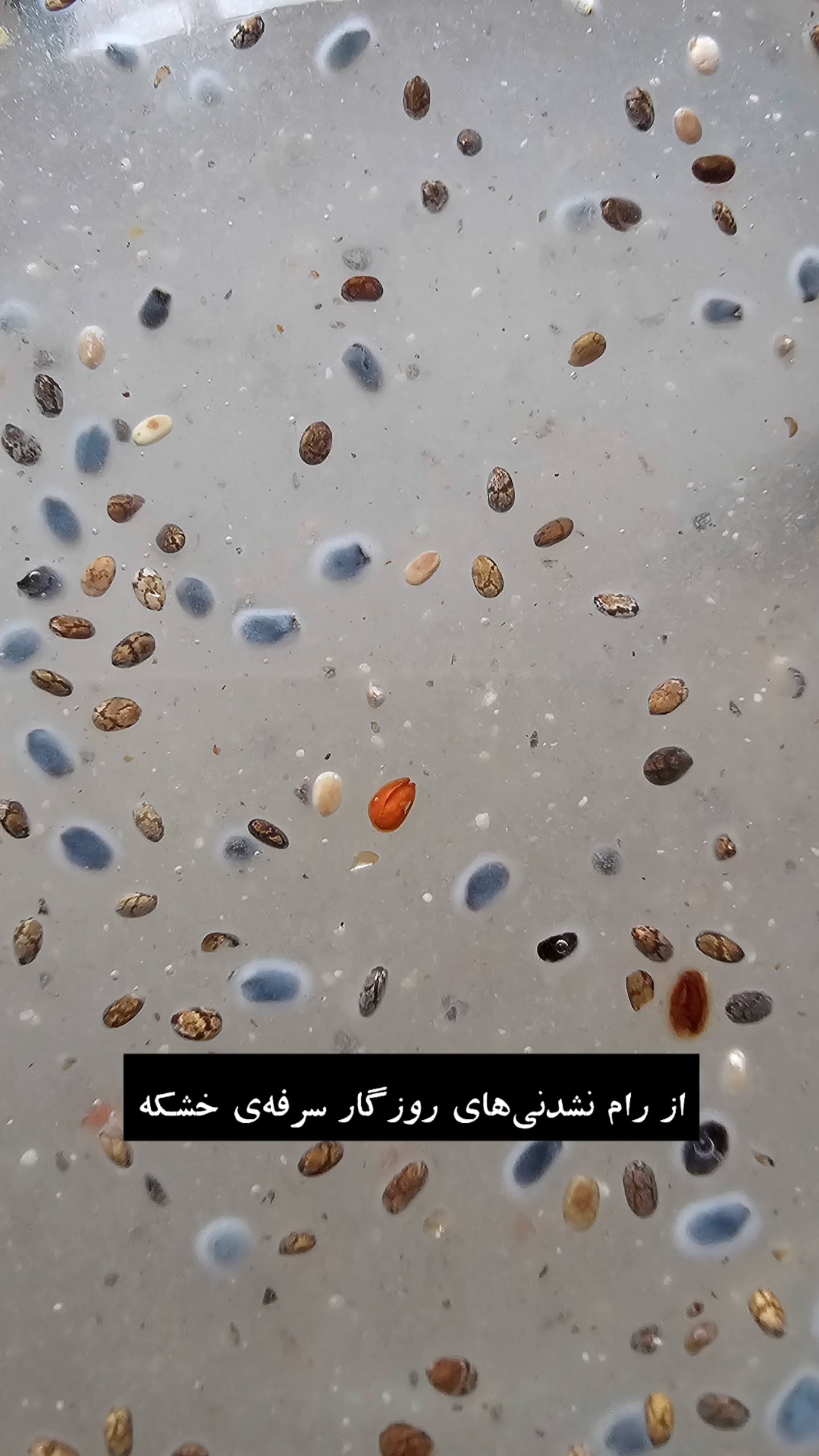  جدید ترین استوری اینستاگرام زهرا کاردانی