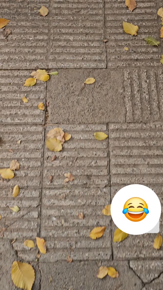  جدید ترین استوری اینستاگرام زهرا عابدینی ابیانه