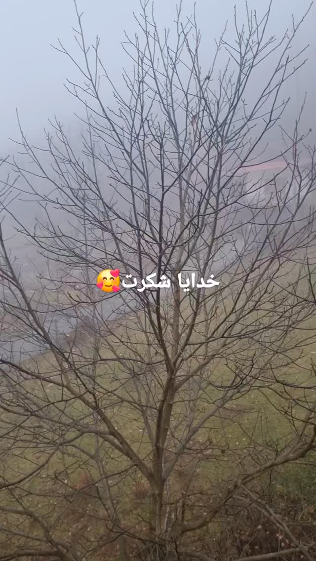  جدید ترین استوری اینستاگرام زهرا موسوی
