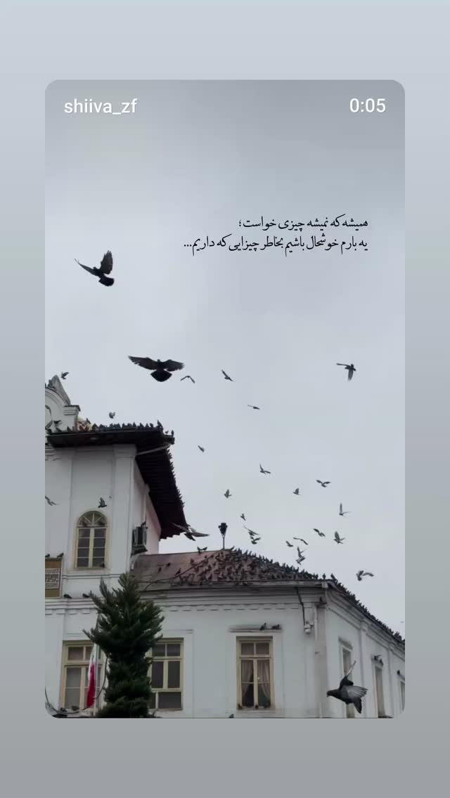  جدید ترین استوری اینستاگرام زهرا سربالی