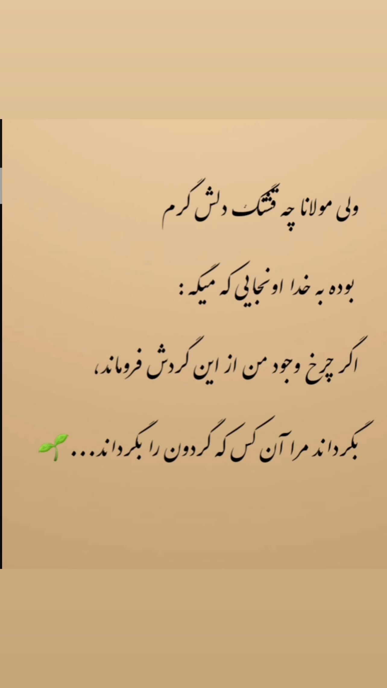  جدید ترین استوری اینستاگرام زهرا شوقى