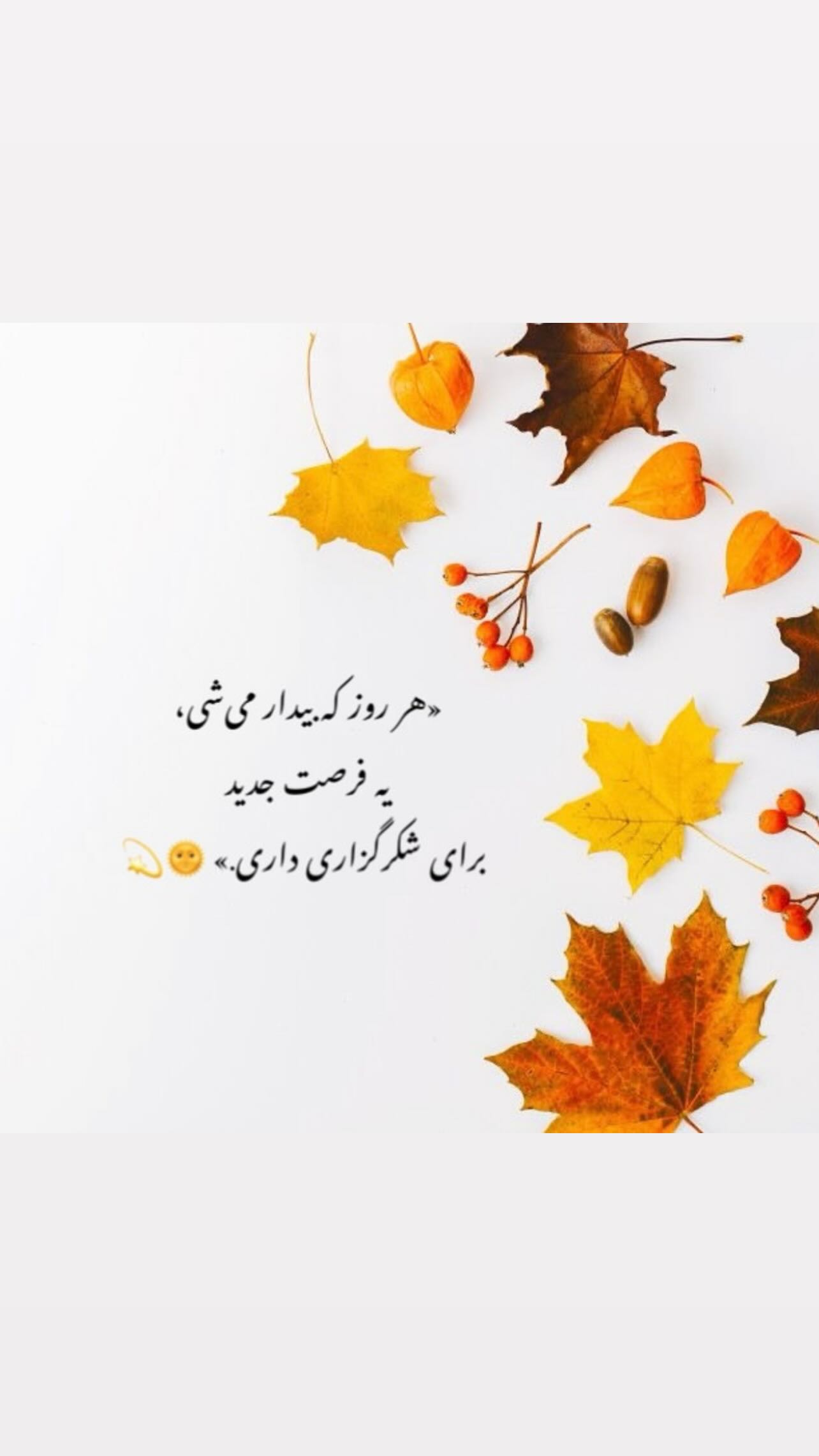  جدید ترین استوری اینستاگرام زهرا شوقى