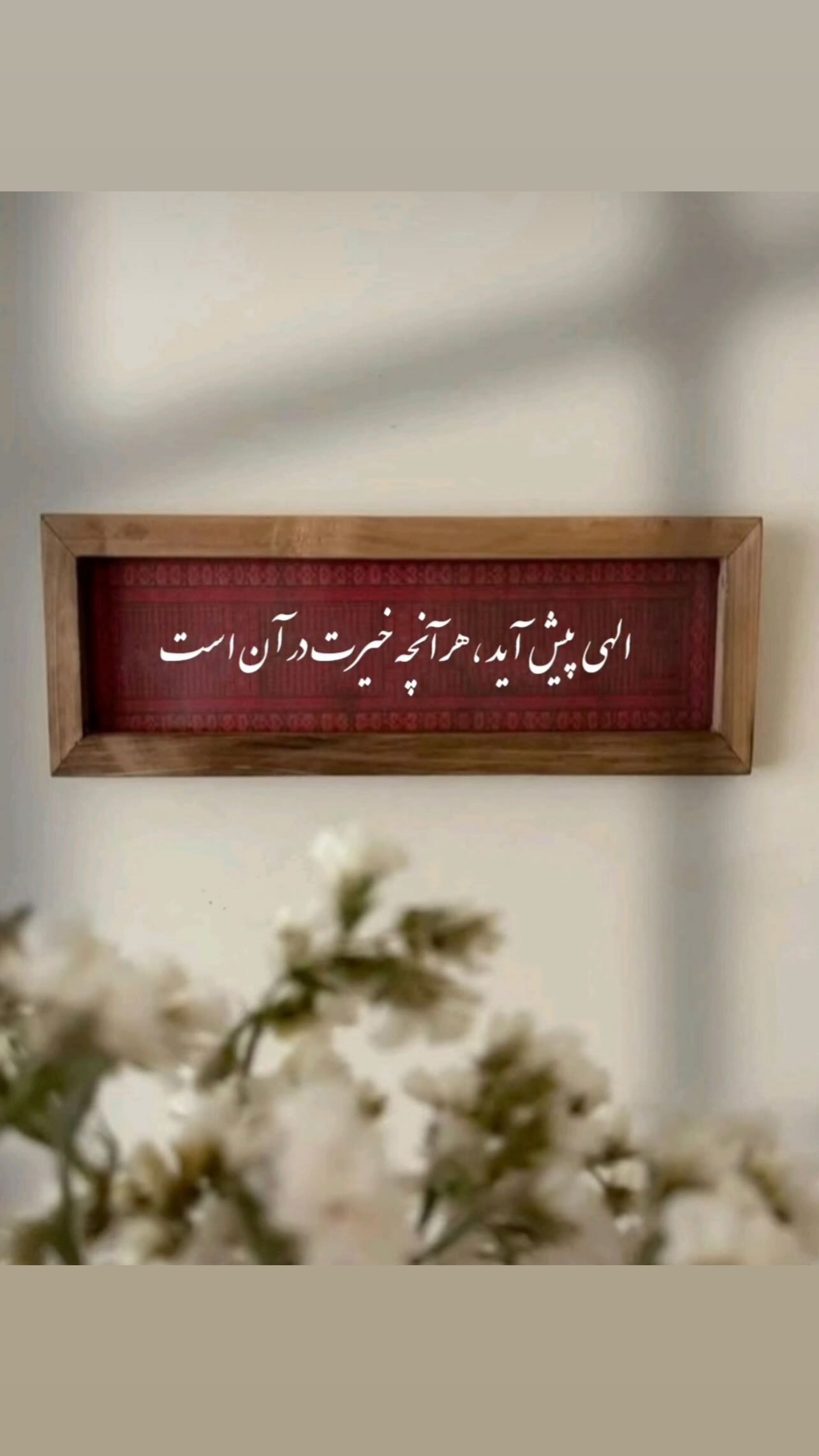  جدید ترین استوری اینستاگرام زهرا شوقى